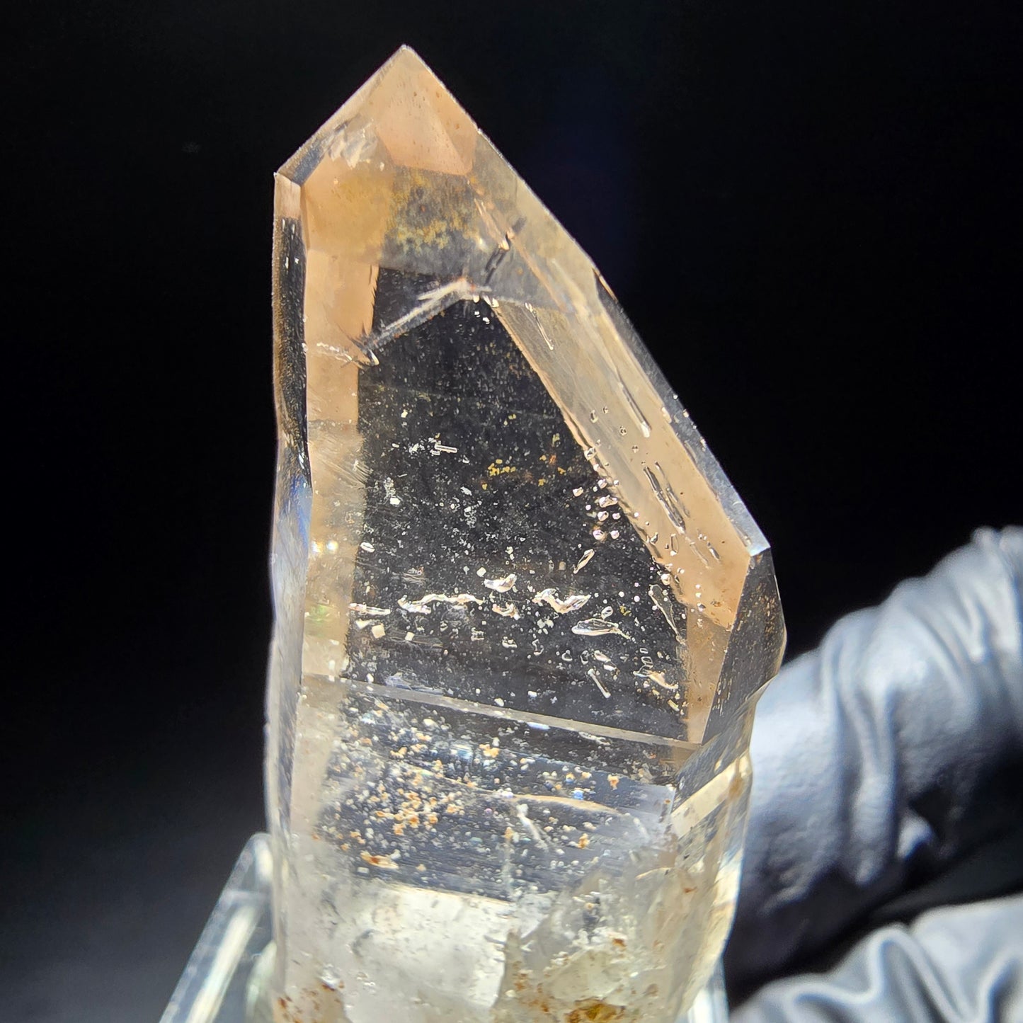 Klare Phantom Rauchquarz Zepter Spitze Goboboseb, Namibia 45*20*11mm Sammlung