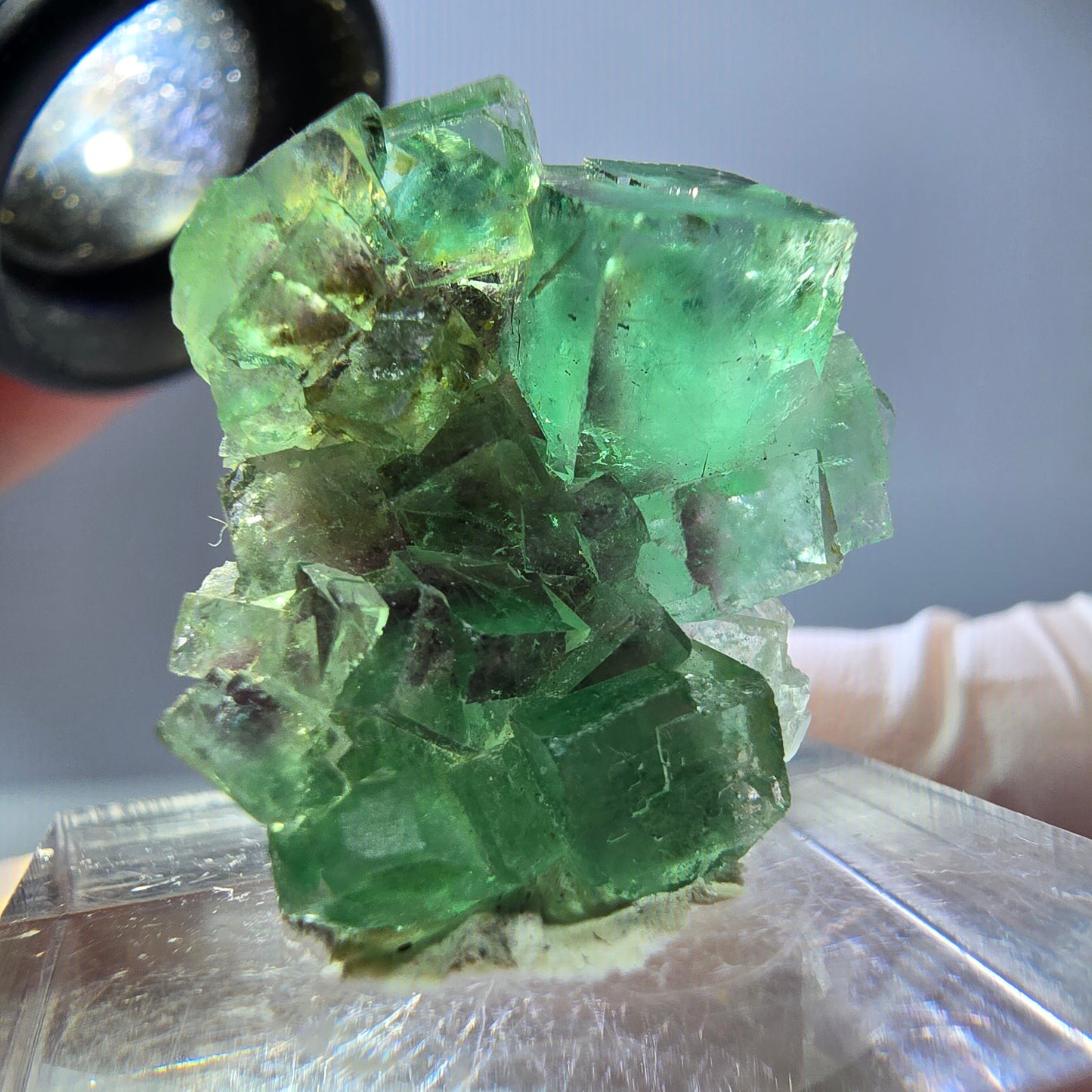 Spécimen de cube de fluorite fantôme, vert violet, Okorusu, Namibie, 25 x 24 x 15 mm