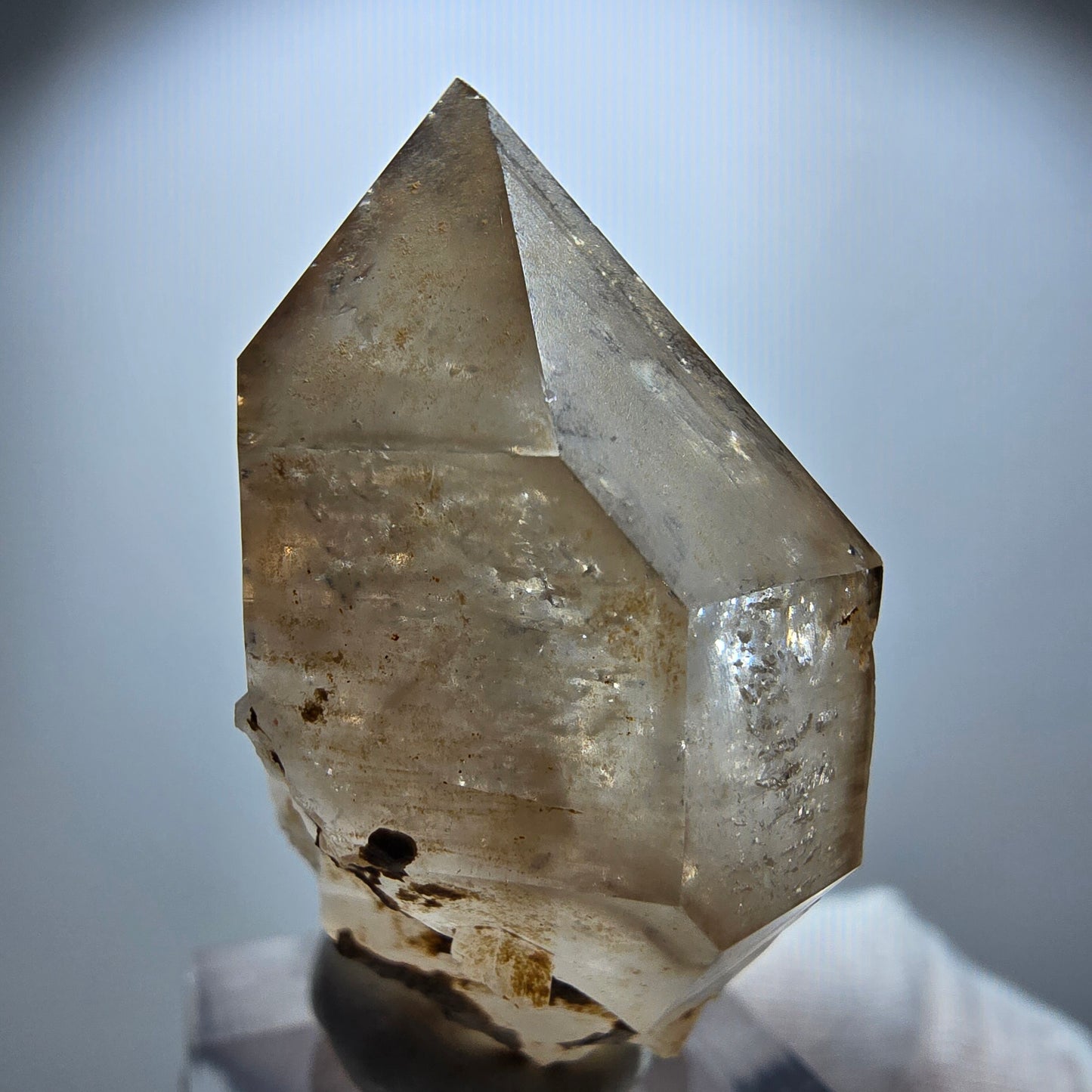 Enhydro Phantom Rauchquarz Skelett Zepter, 1x Blase Goboboseb Namibia 45*37*20mm