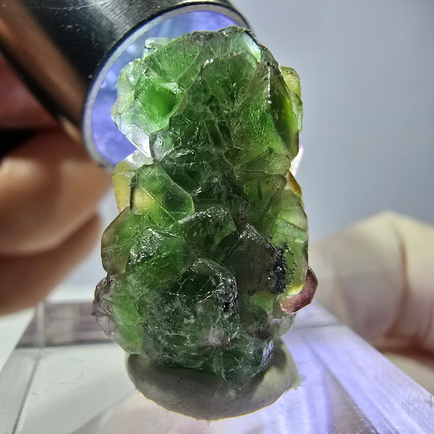 Cube de fluorite fantôme, zonal, spécimen de tourmaline Schorl, Erongo, Namibie, 23 x 15 x 14 mm