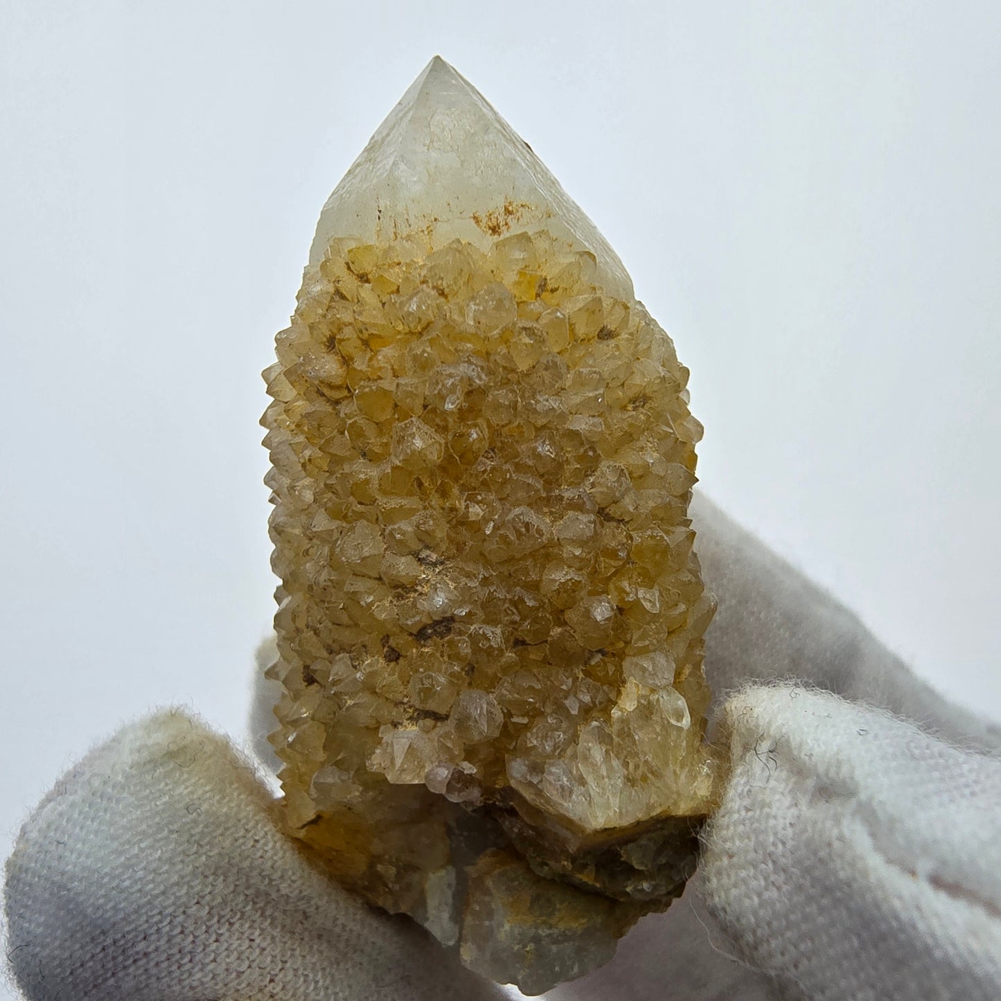 Kaktusquarz, Spirit Quarz XX Stufe Boekenhouthoek, Südafrika 49*29*23mm Sammlung