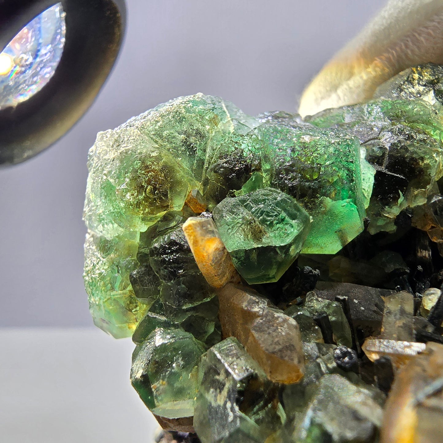 Fluorite fantôme Schörl Tourmaline Hyalite Quartz fumé Erongo Namibie 77*60*57mm
