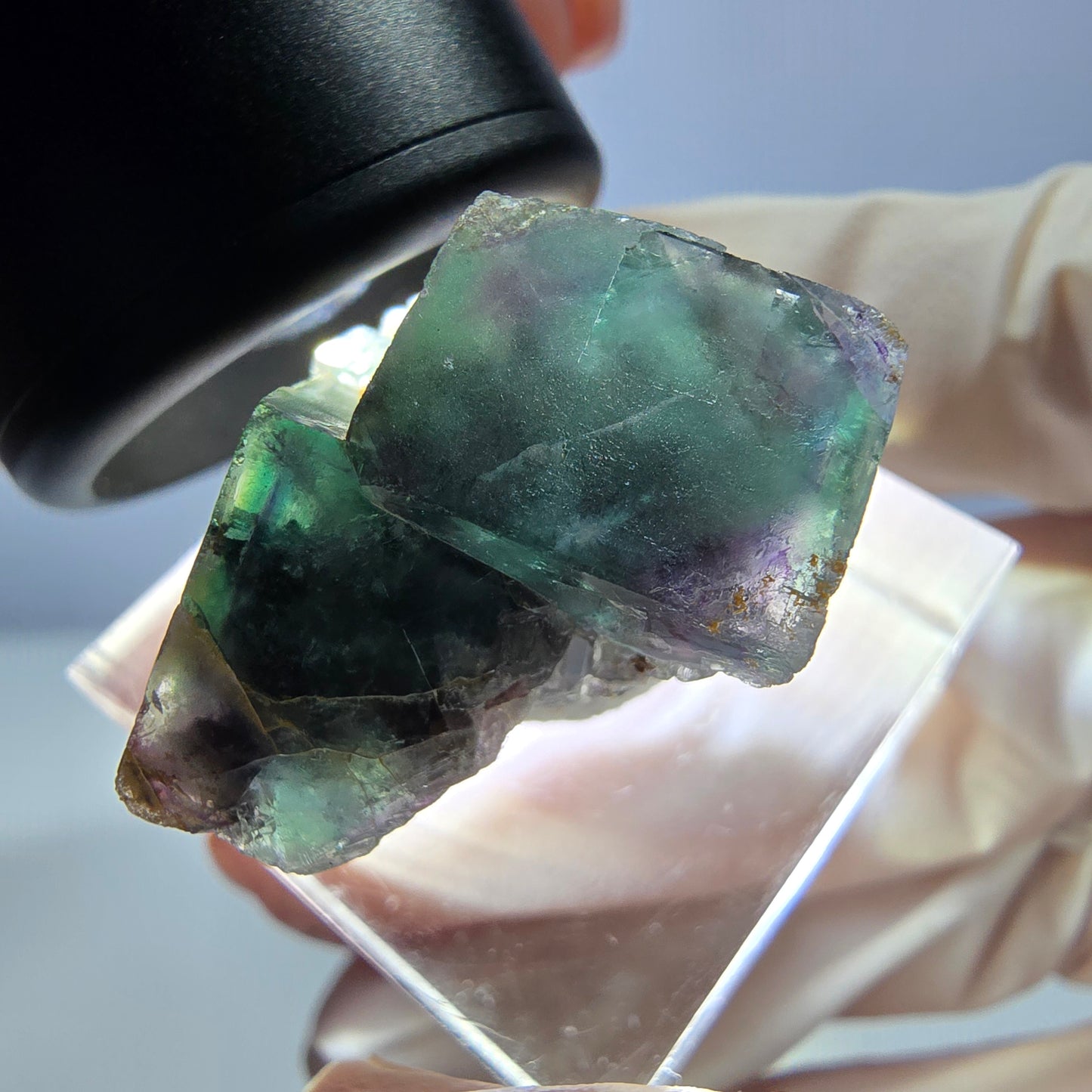 Spécimen de cube de fluorite fantôme, parqueté vert violet Okorusu, Namibie 25*24*16 mm