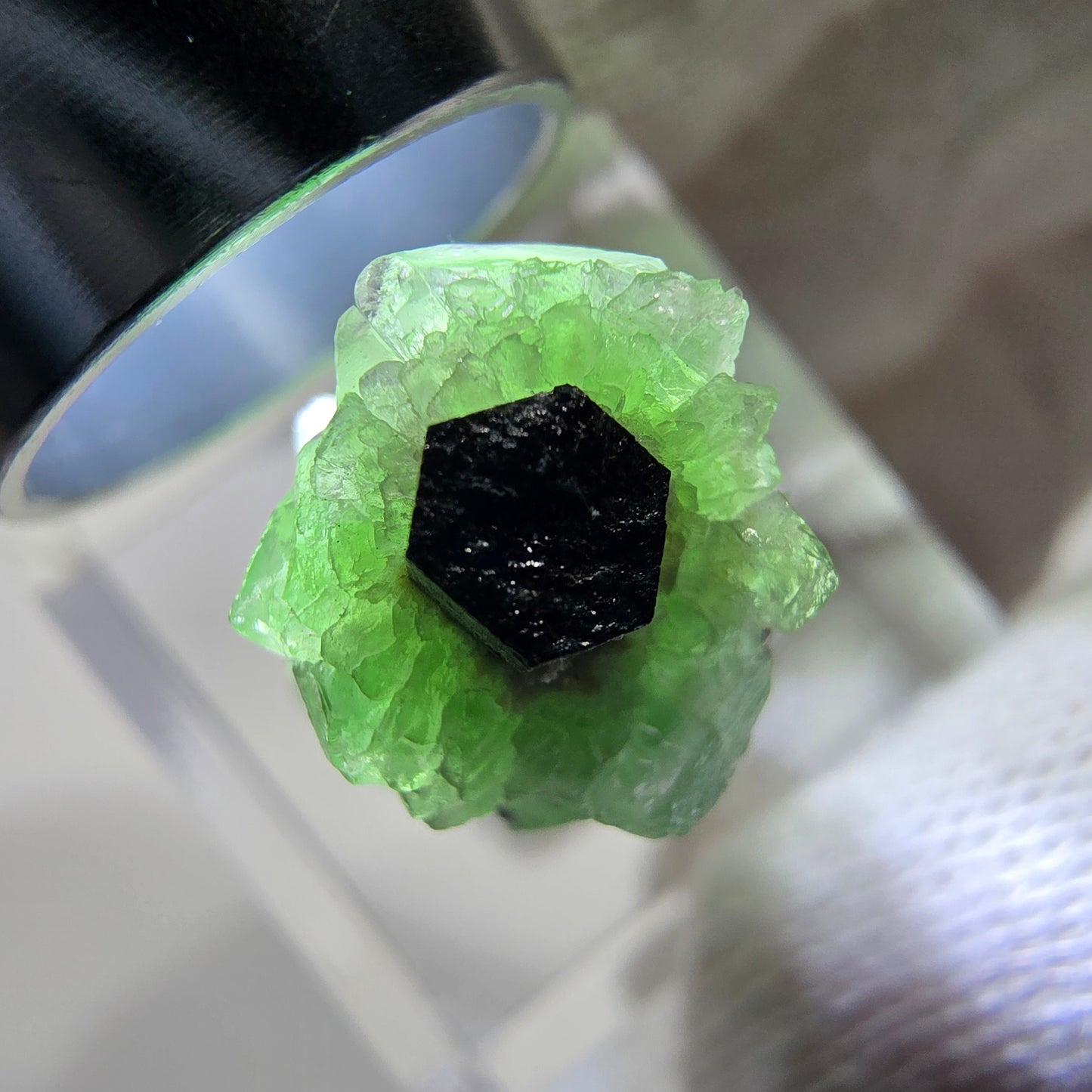 Cube de fluorite fantôme zonal, spécimen de tourmaline Schorl, Erongo, Namibie, 25 x 12 x 12 mm