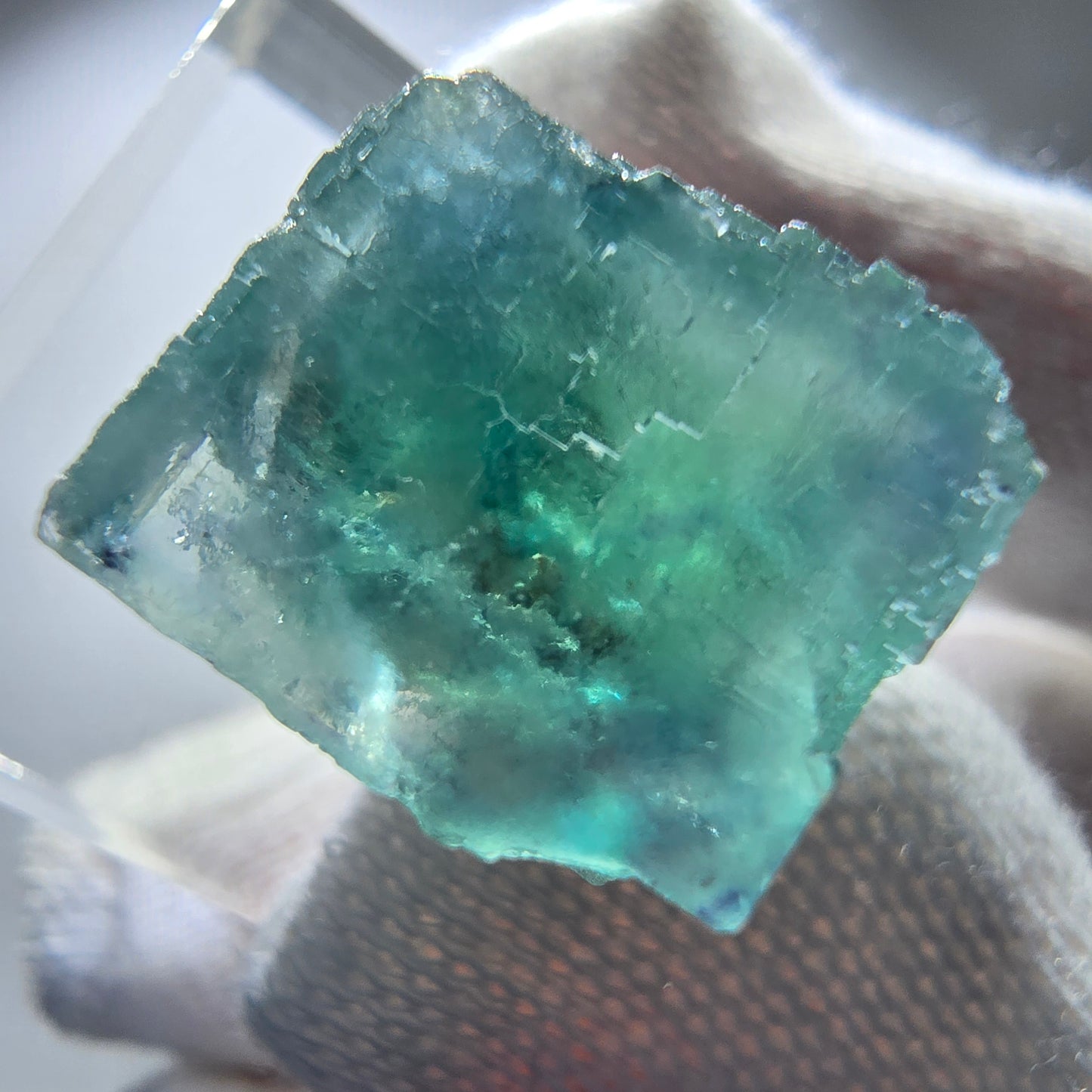 Rare spécimen de cube de fluorite fantôme, vert Okorusu, Namibie 24 x 23 x 17 mm
