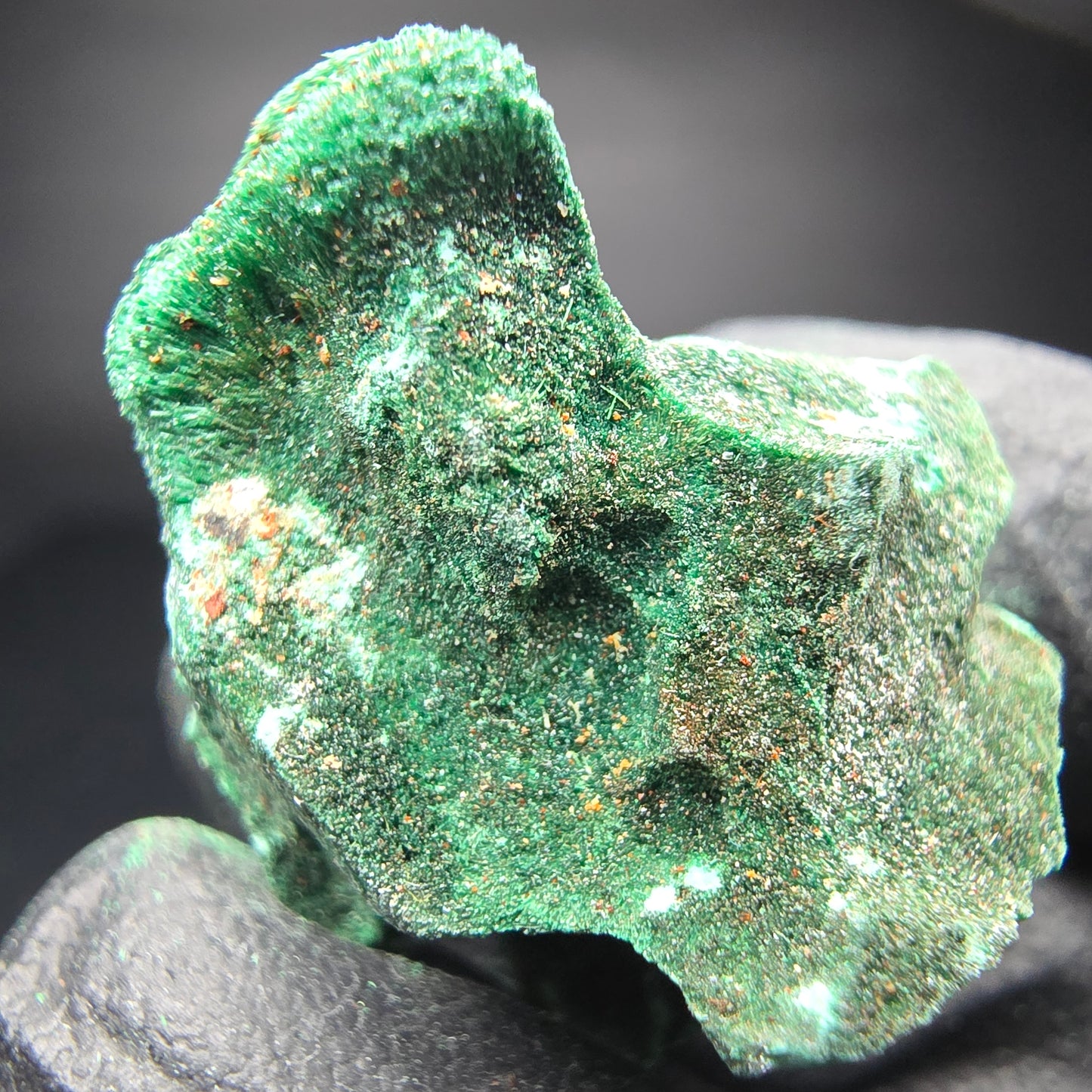 Seltene Malachit Stufe, grün Kaokoveld, Namibia 28*22*21mm Mineraliensammlung