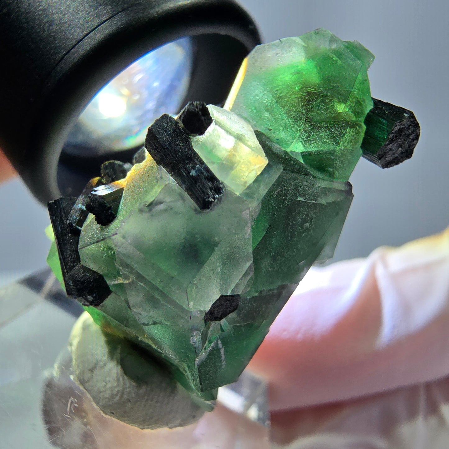 Cube hexagonal de fluorite fantôme, spécimen de tourmaline Schorl, Erongo, Namibie, 30 x 25 x 13 mm