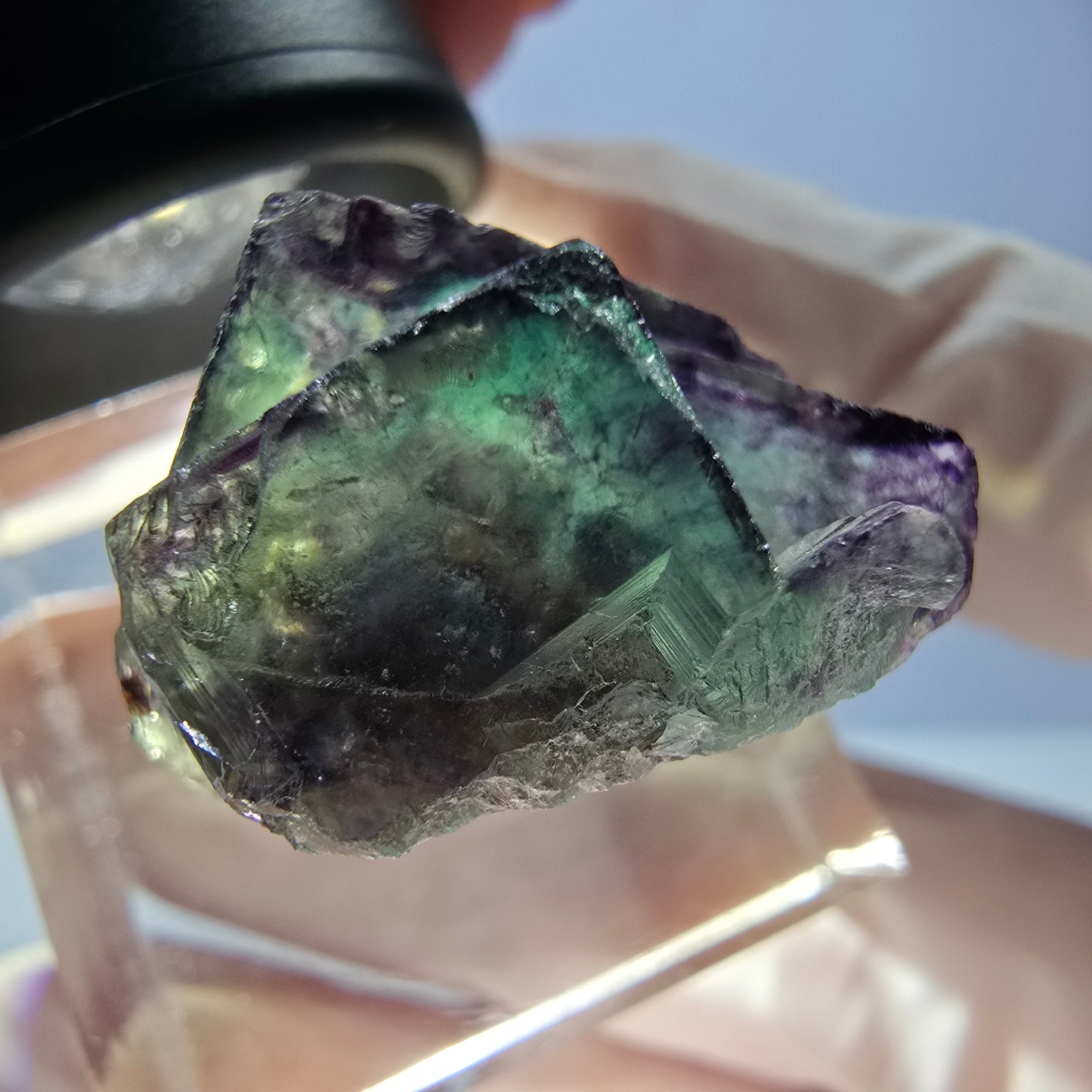 Spécimen de cube de fluorite fantôme, parqueté vert violet Okorusu, Namibie 28*21*15 mm