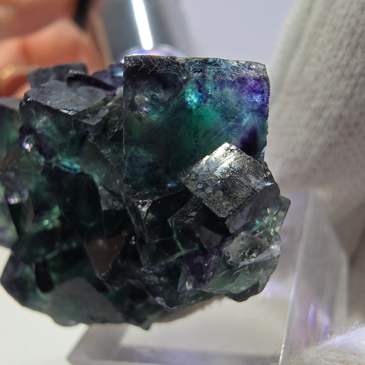 Spécimen de cube de fluorite fantôme transparente, vert-violet zonal, Okorusu, Namibie, 40 x 31 x 28 mm