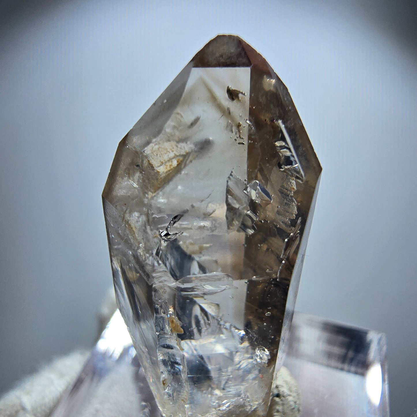 Enhydro Phantom Rauchquarz Zepter, 2x Blase Goboboseb, Namibia 31*13*11mm