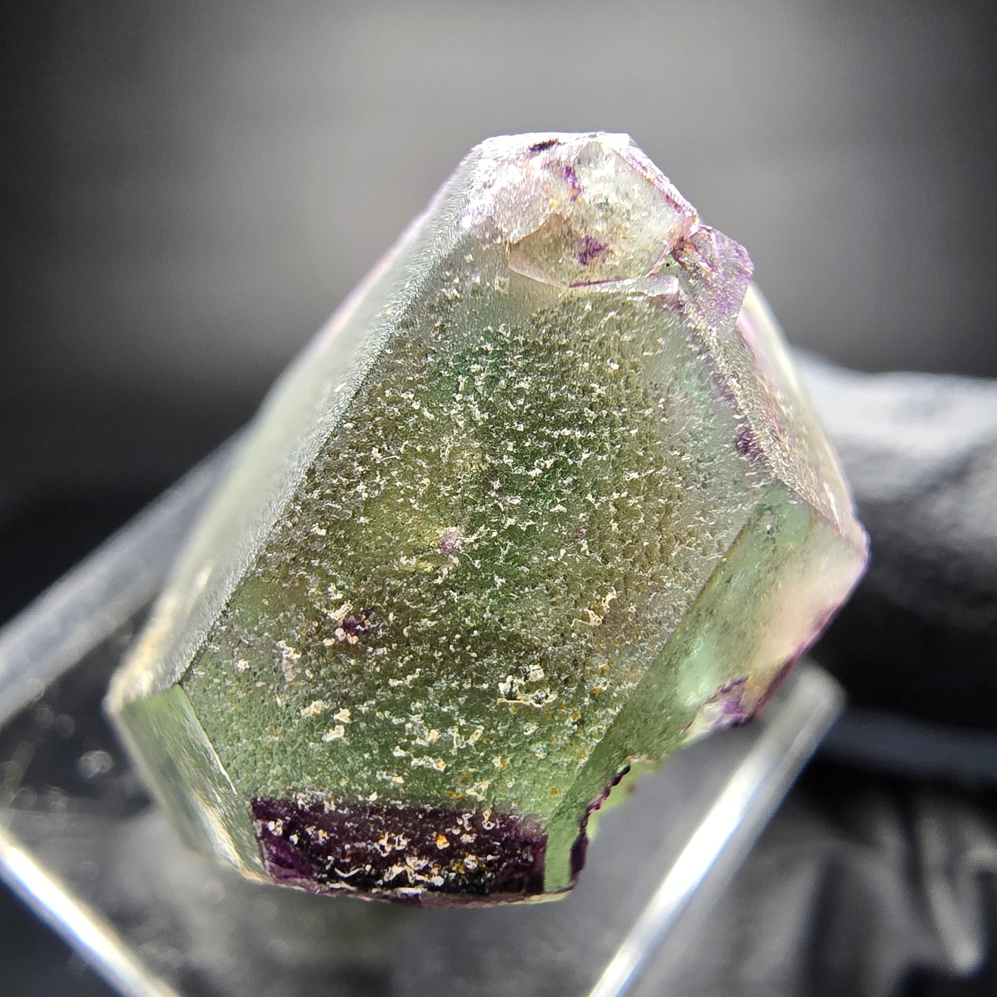 Zonar Phantom Fluorite Cube Tier Vert Violet Erongo Namibie 29*20*17mm