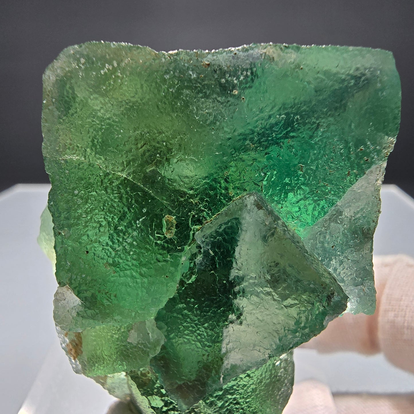 Klare Phantom Fluorit Würfel Stufe grün Okorusu, Namibia 49*39*33mm Sammlung