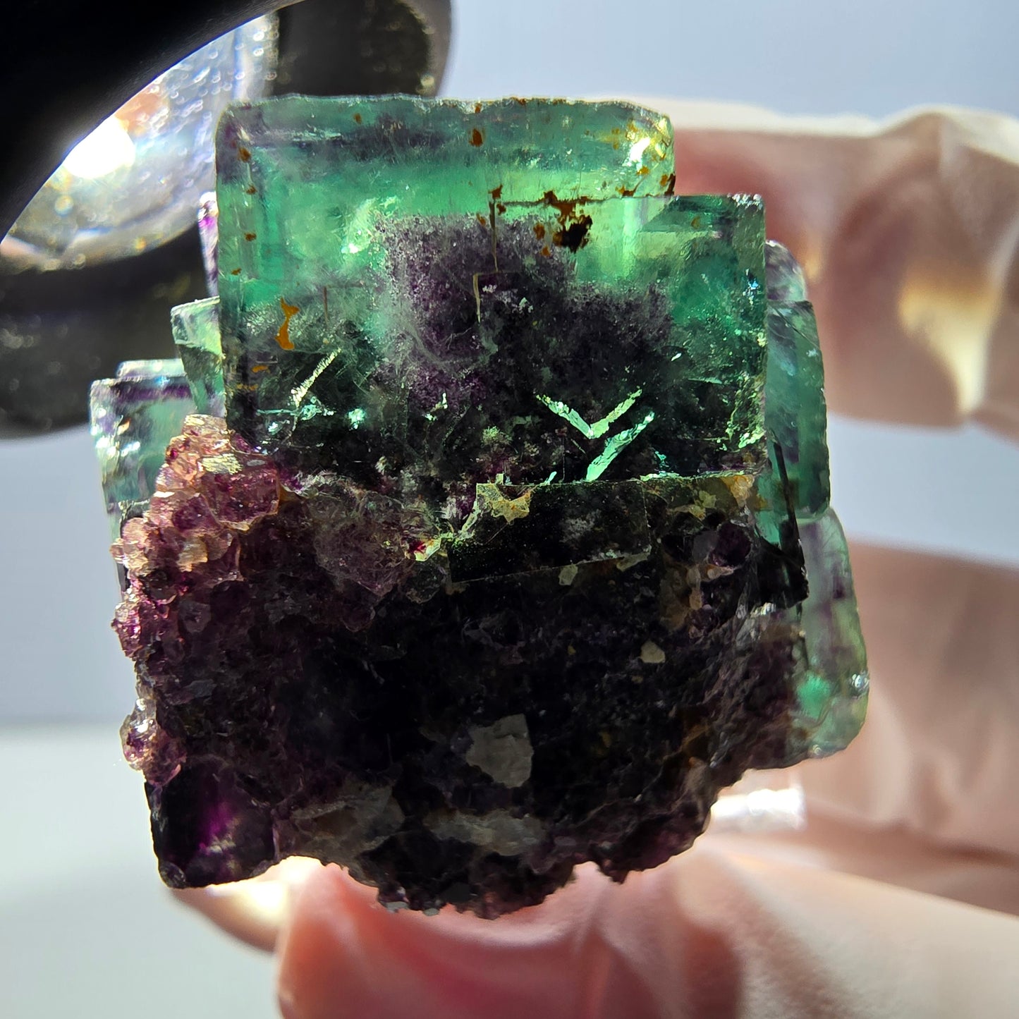 Spécimen de cube de fluorite fantôme, parqueté vert violet Okorusu, Namibie 28*27*22 mm