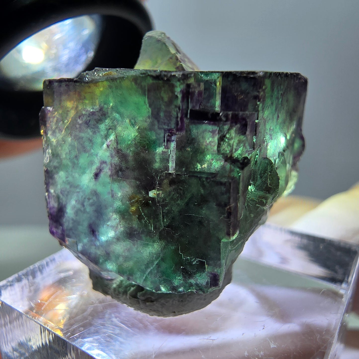 Phantom Fluorit Würfel Stufe, parkettiert, zonal Okorusu, Namibia 23*22*20mm