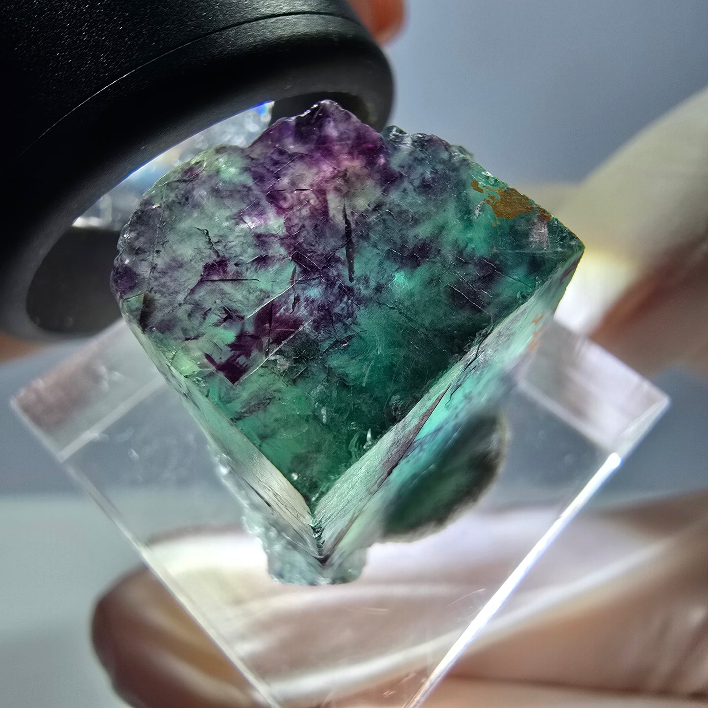 Phantom Fluorit Würfel Stufe, parkettiert grün lila Okorusu, Namibia 20*16*15mm