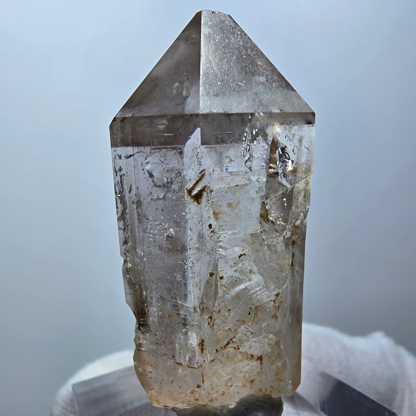 Enhydro Phantom Rauchquarz Zepter, 1x Blase Goboboseb, Namibia 44*21*19mm