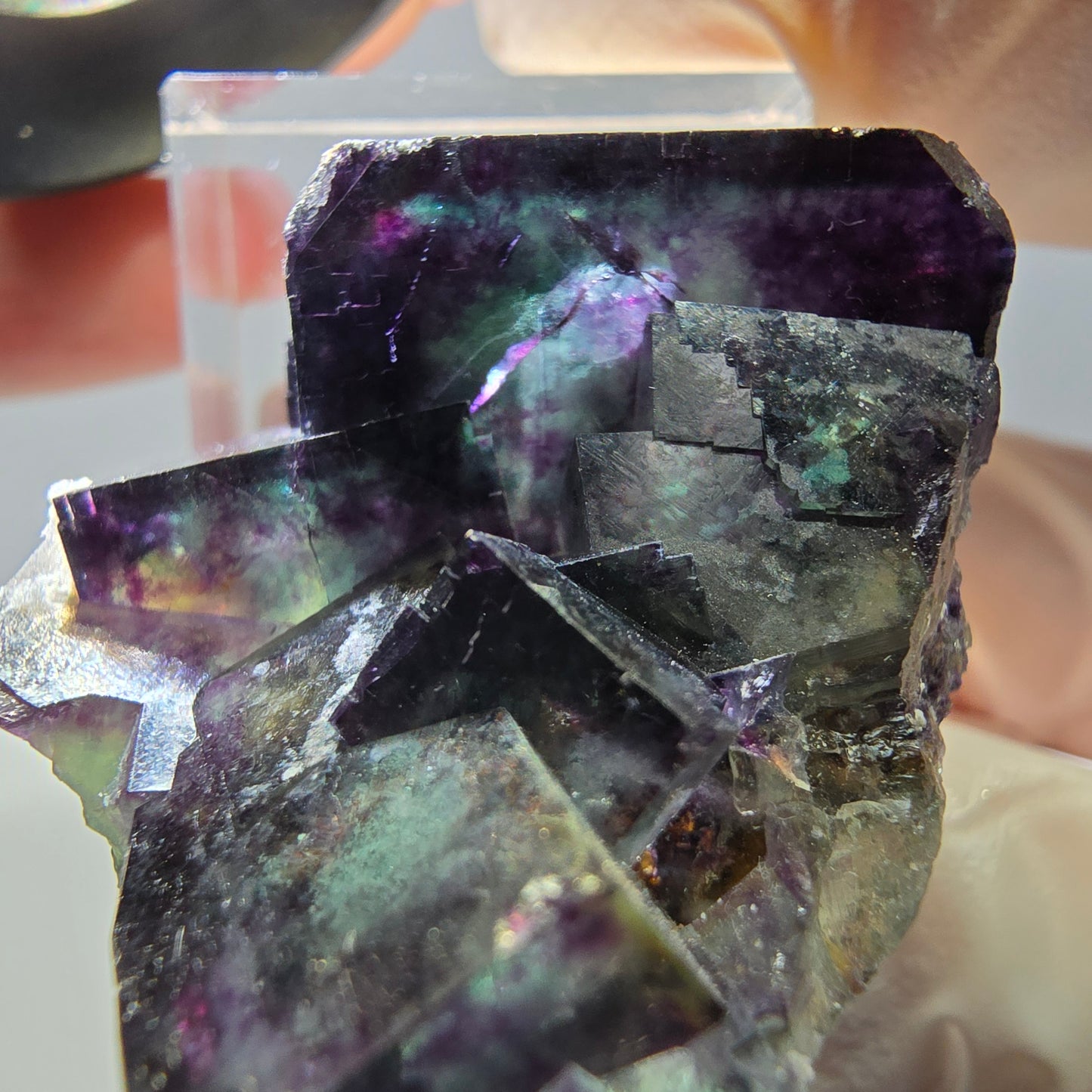 Phantom Fluorit Würfel Stufe, parkettiert grün lila Okorusu, Namibia 39*33*19mm