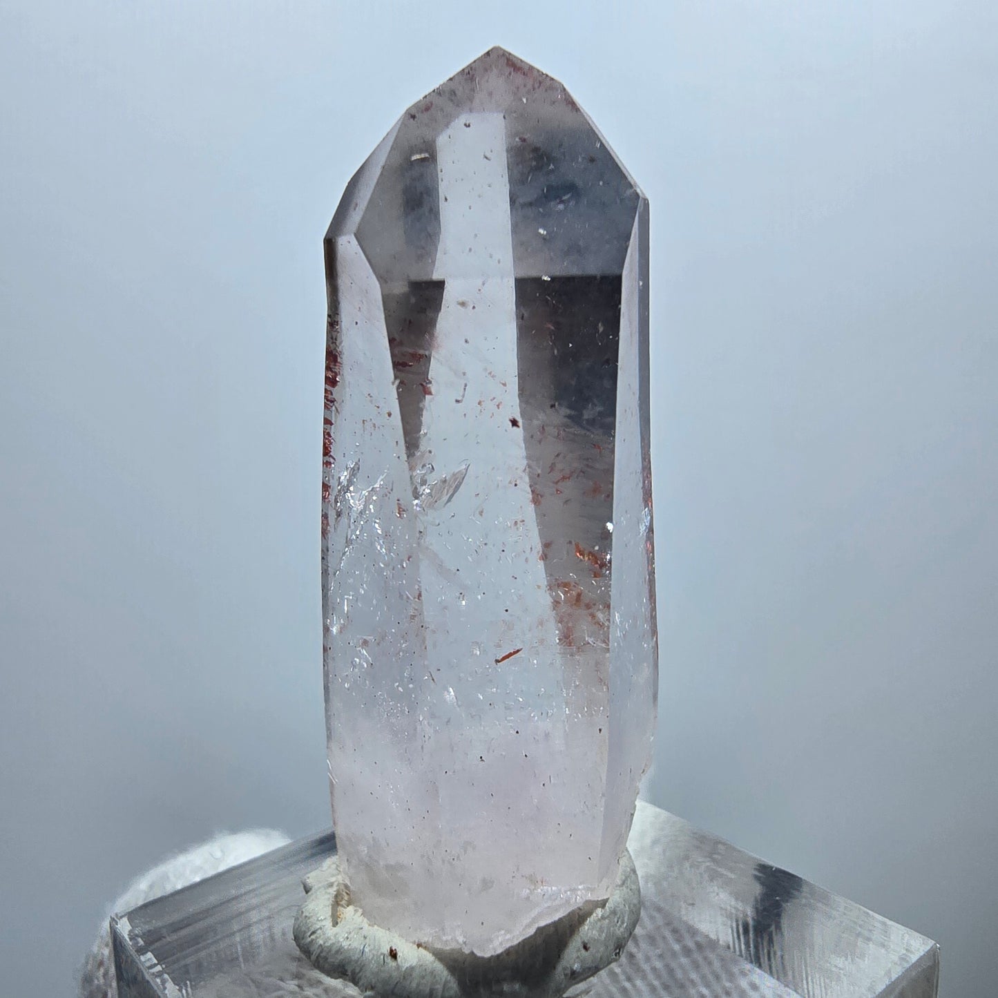 Enhydro Phantom Rauchquarz Zepter, 1x Blase Goboboseb, Namibia 42*17*12mm