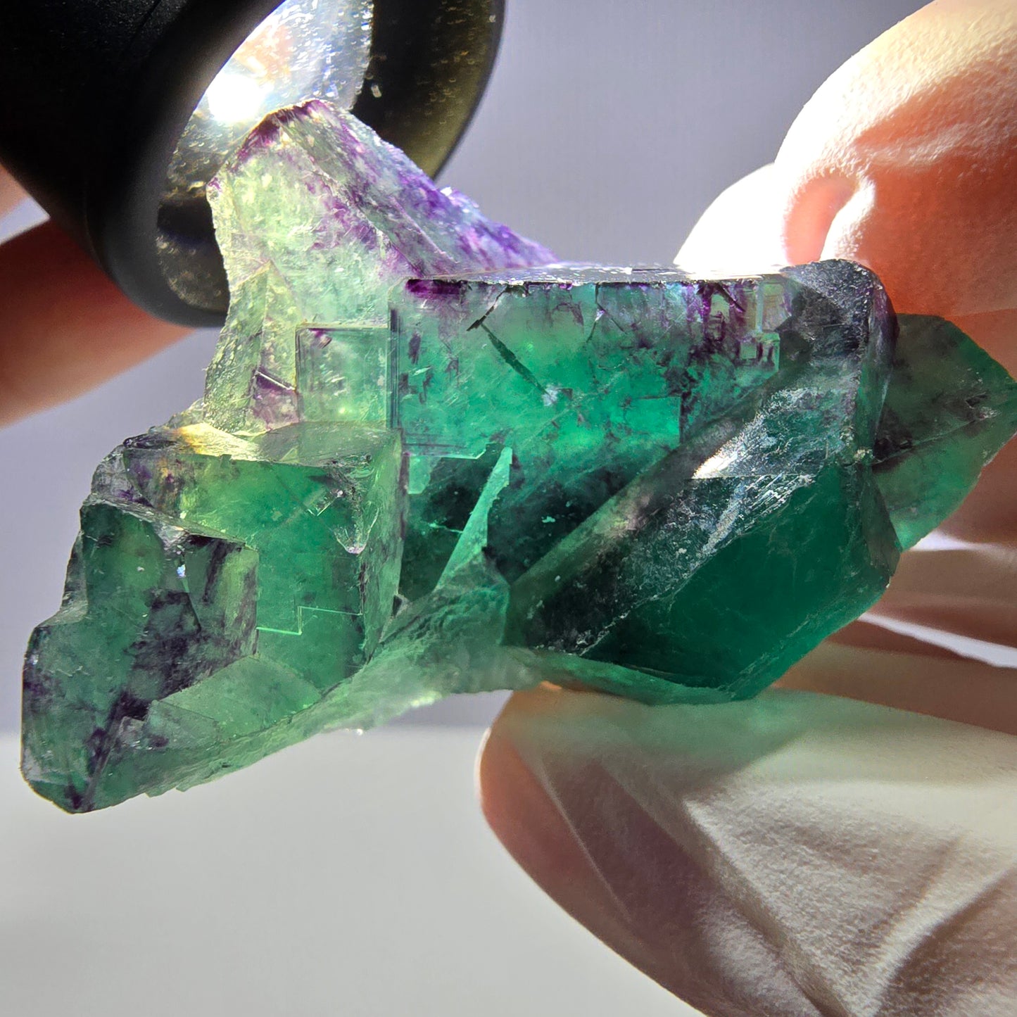 Spécimen de cube de fluorite fantôme parqueté vert violet Okorusu, Namibie 46*34*32mm