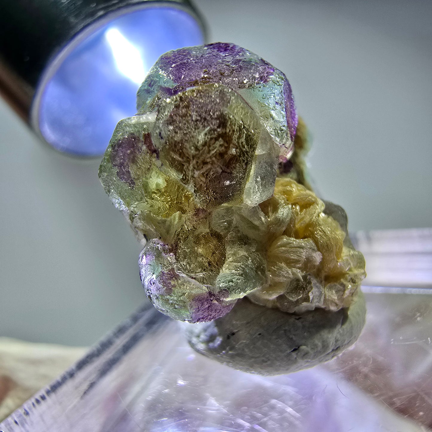 Cubes de fluorite fantôme colorés, spécimen de muscovite, Erongo, Namibie, 18 x 17 x 11 mm