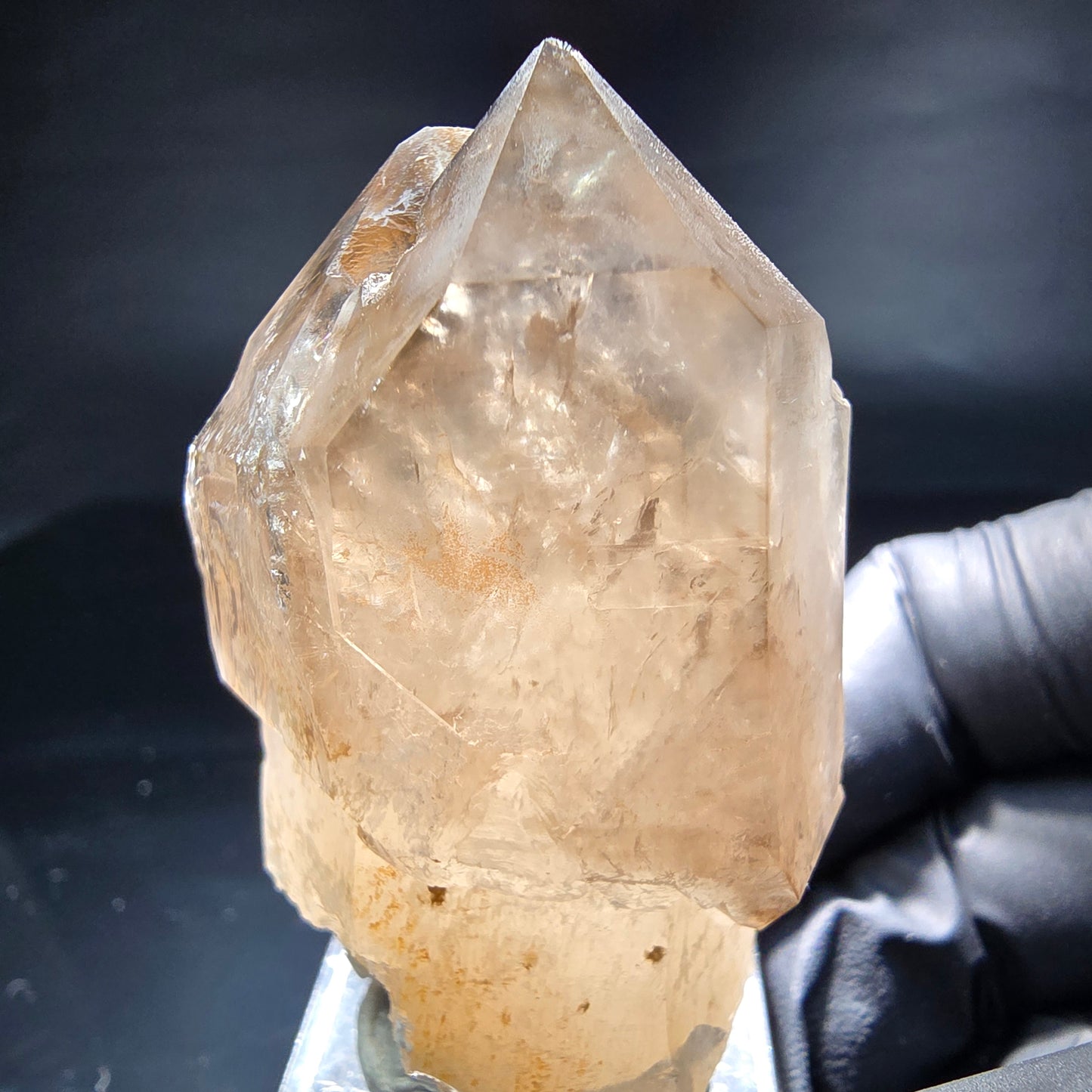 Schöne Phantom Rauchquarz Zepter Spitzen Erongo, Namibia 56*33*28mm Sammlung