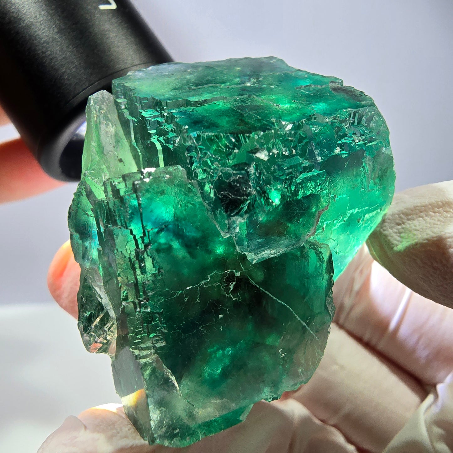 Spécimen de cube de fluorite fantôme, vert parqueté Okorusu, Namibie 50 x 36 x 33 mm