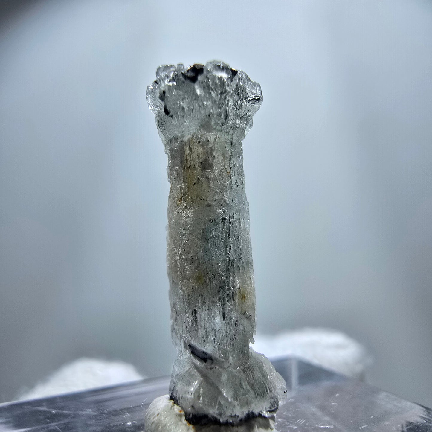 Seltener Aquamarin X mit Schörl Turmalin Erongo, Namibia 21*8*6mm