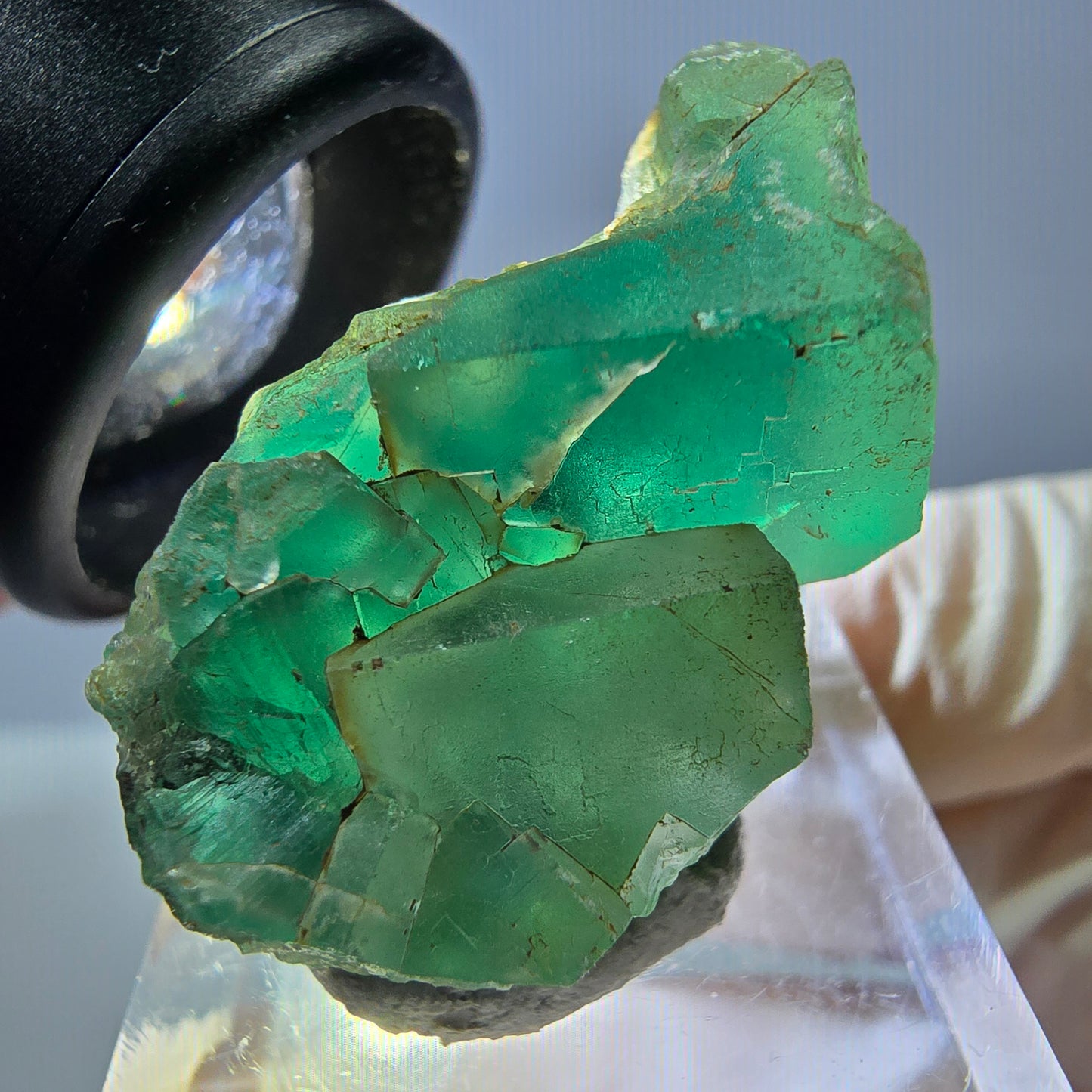 Spécimen de cube de fluorite fantôme, vert violet, Okorusu, Namibie, 35 x 19 x 19 mm