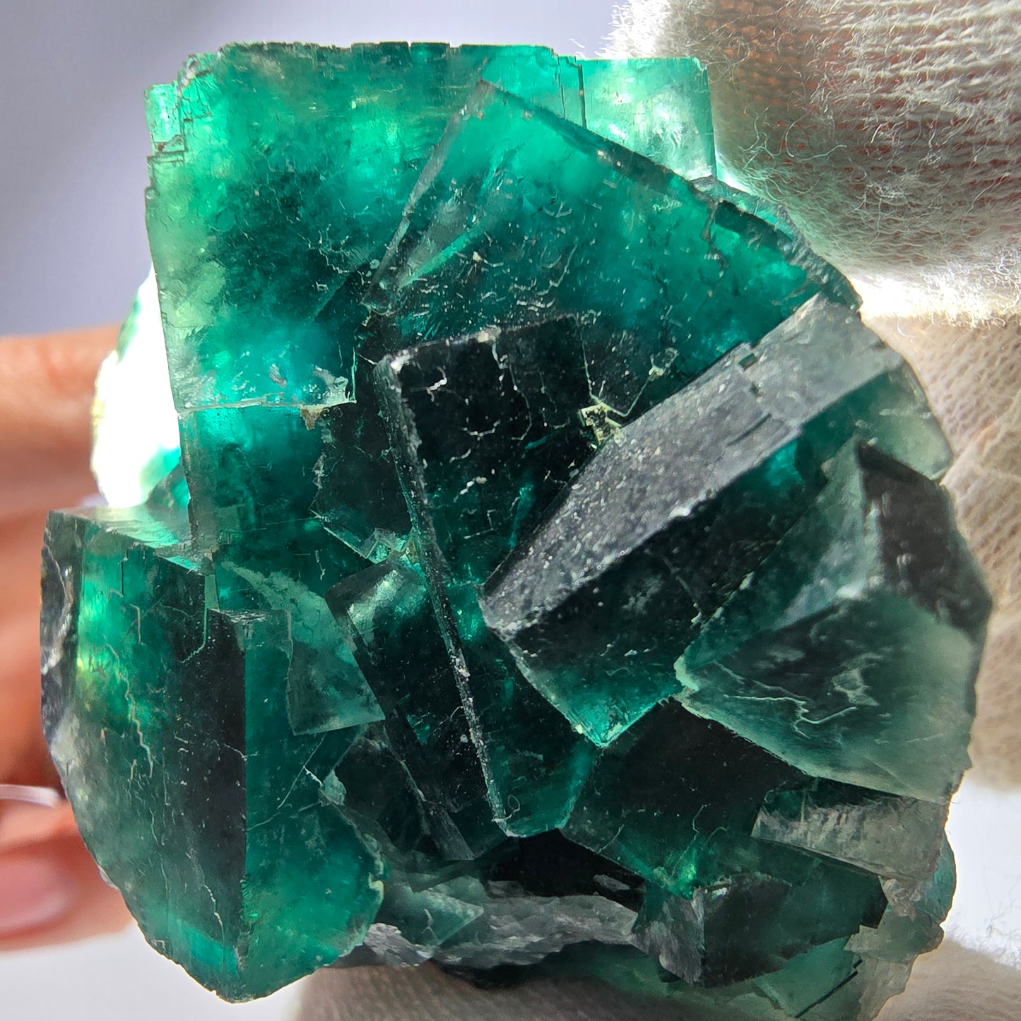 Rare spécimen de cube de fluorite fantôme, parqueté vert Okorusu, Namibie, 60 x 46 x 30 mm