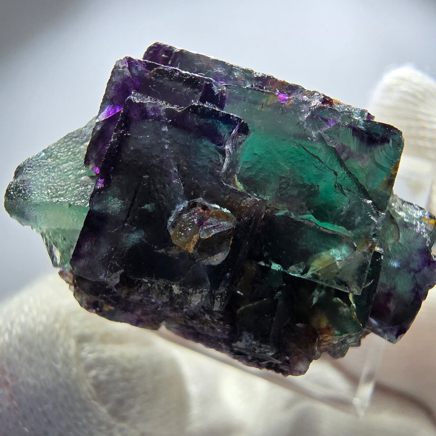Spécimen rare de cube de fluorite fantôme, vert zonal et violet, Okorusu, Namibie, 35 x 26 x 20 mm