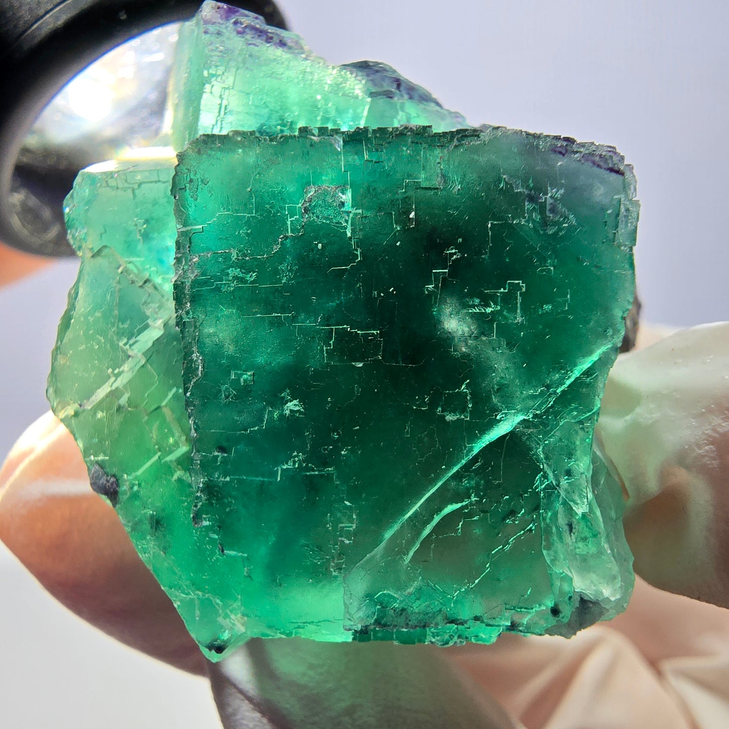 Spécimen de cube de fluorite fantôme transparente, vert parqueté, Okorusu, Namibie, 53 x 40 x 30 mm