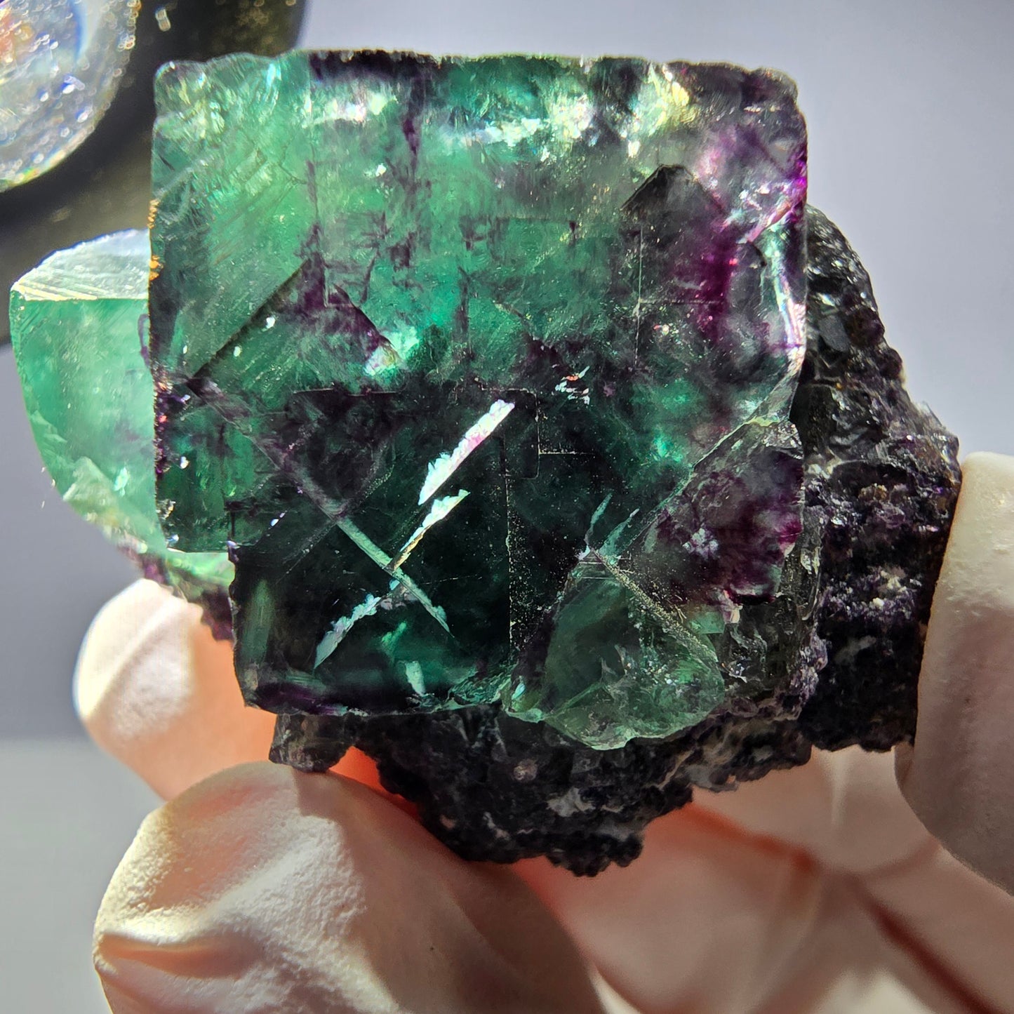 Spécimen de cube de fluorite fantôme parqueté vert violet Okorusu, Namibie 41*34*26mm