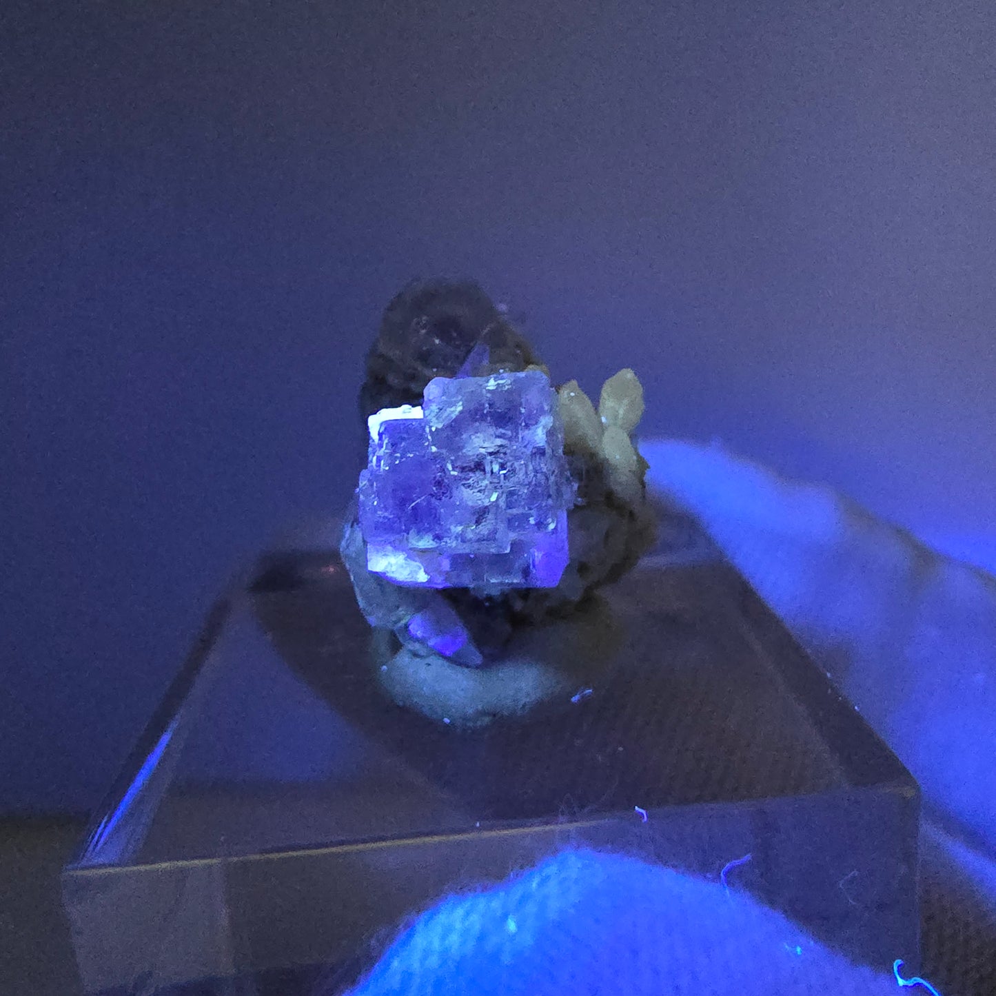Seltene UV Phantom Fluorit Würfel, Quarz Stufe Brandberg, Namibia 16*13*13mm