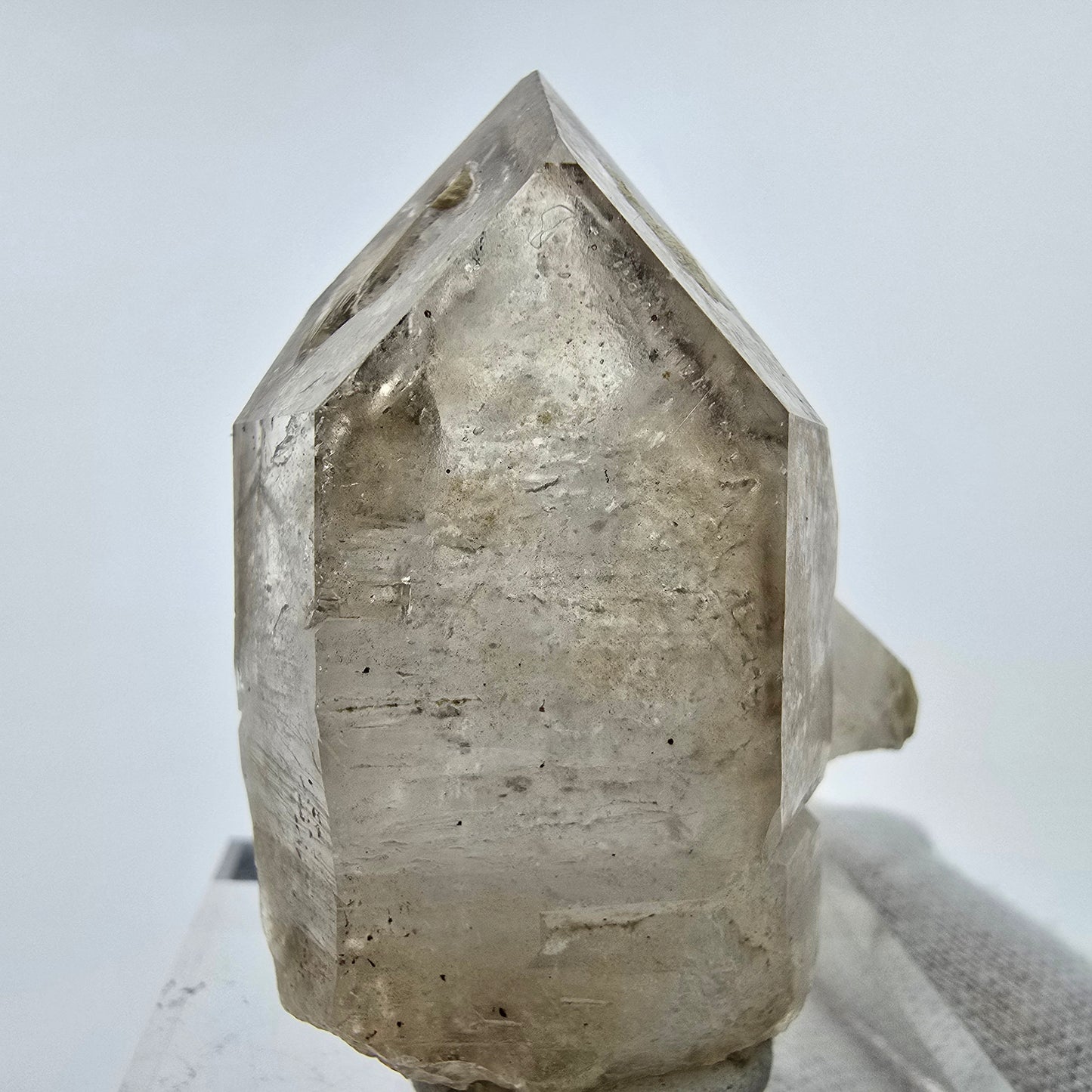 Großes Phantom Rauchquarz Zepter Goboboseb, Namibia 54*41*28mm