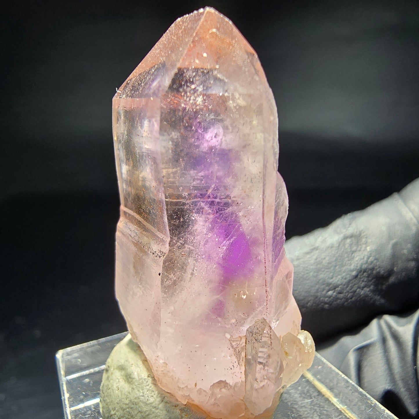 Klare Phantom Amethyst Zepter Spitze Goboboseb Namibia 37*22*15mm Sammlung