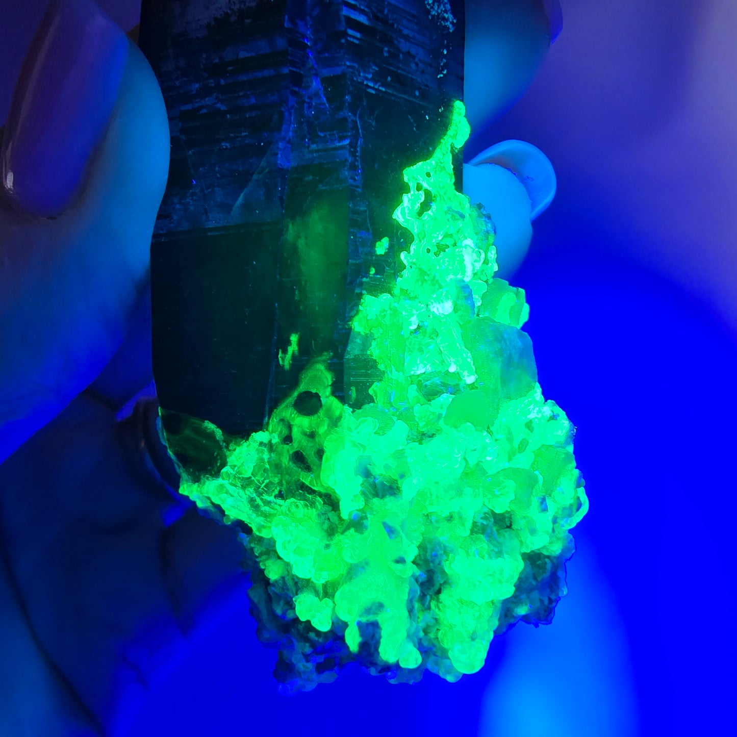 Quartz fumé squelette fantôme, spécimen d'hyalite, Erongo, Namibie, 105 x 42 x 31 mm