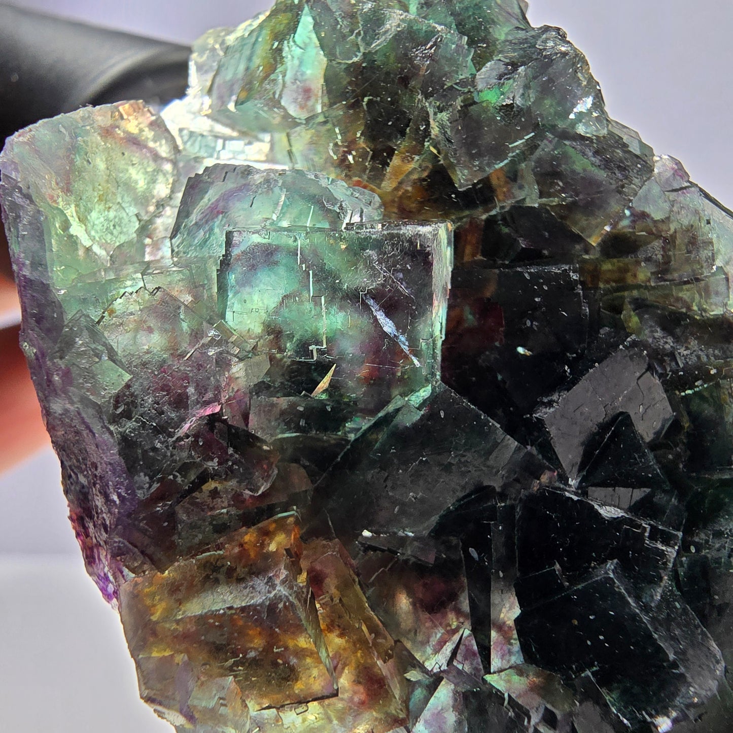 Rare spécimen de cube de fluorite fantôme, vert violet Okorusu Namibie 80*43*17 mm