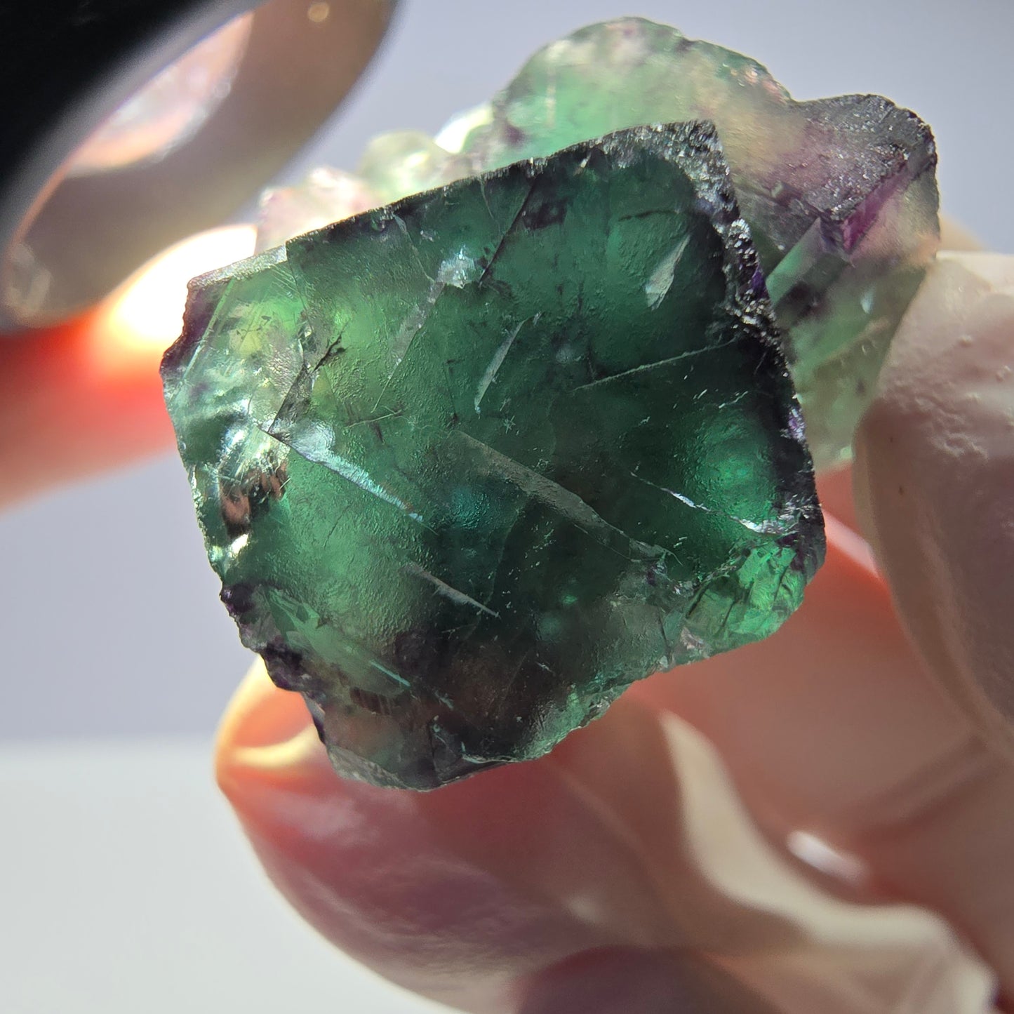 Spécimen de cube de fluorite fantôme parqueté vert violet Okorusu, Namibie 28*24*18mm