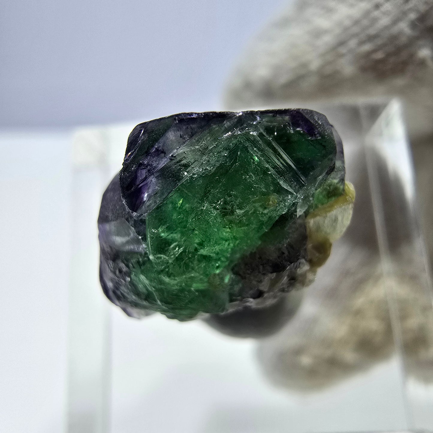 Cube de fluorite fantôme, spécimen de muscovite, Erongo, Namibie, 18 x 14 x 10 mm