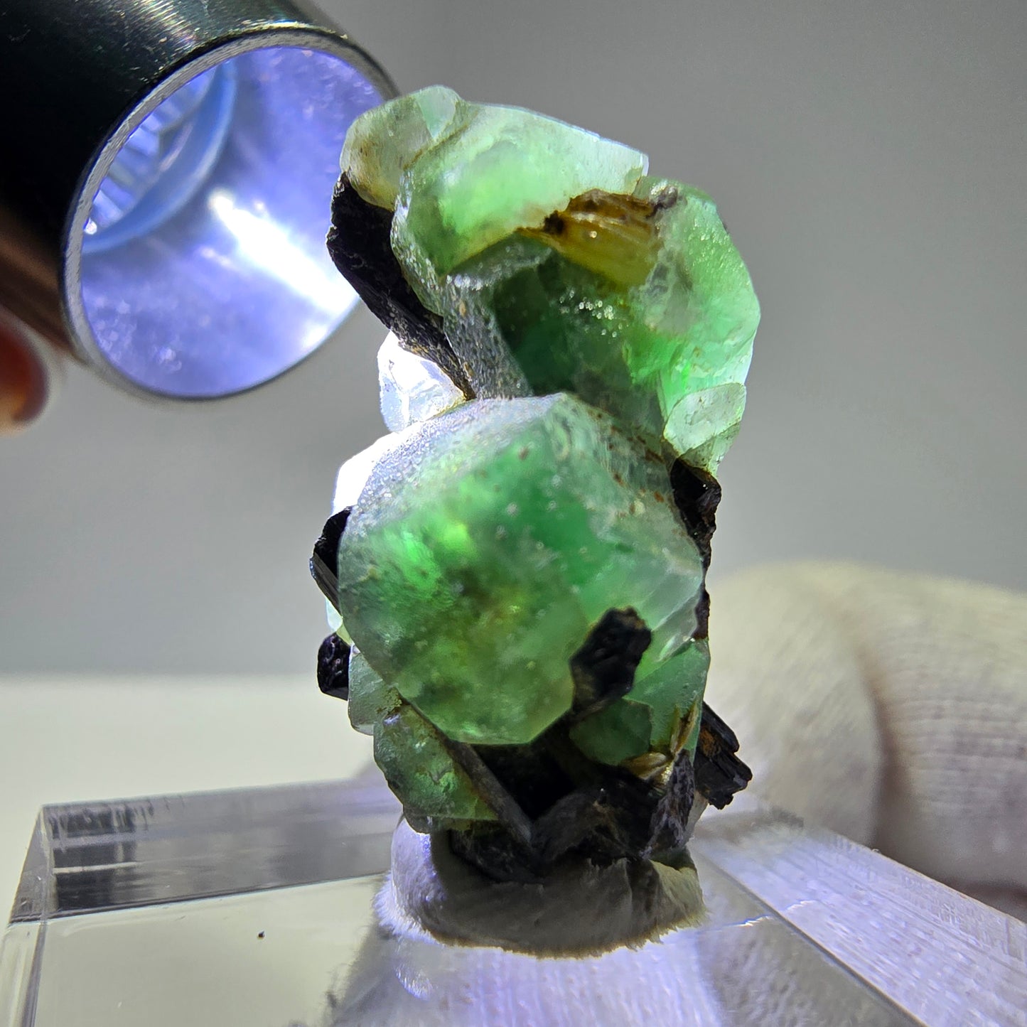 Spécimen de tourmaline Schorl hexagonale en cube de fluorite fantôme, Erongo, Namibie, 26 x 19 x 12 mm
