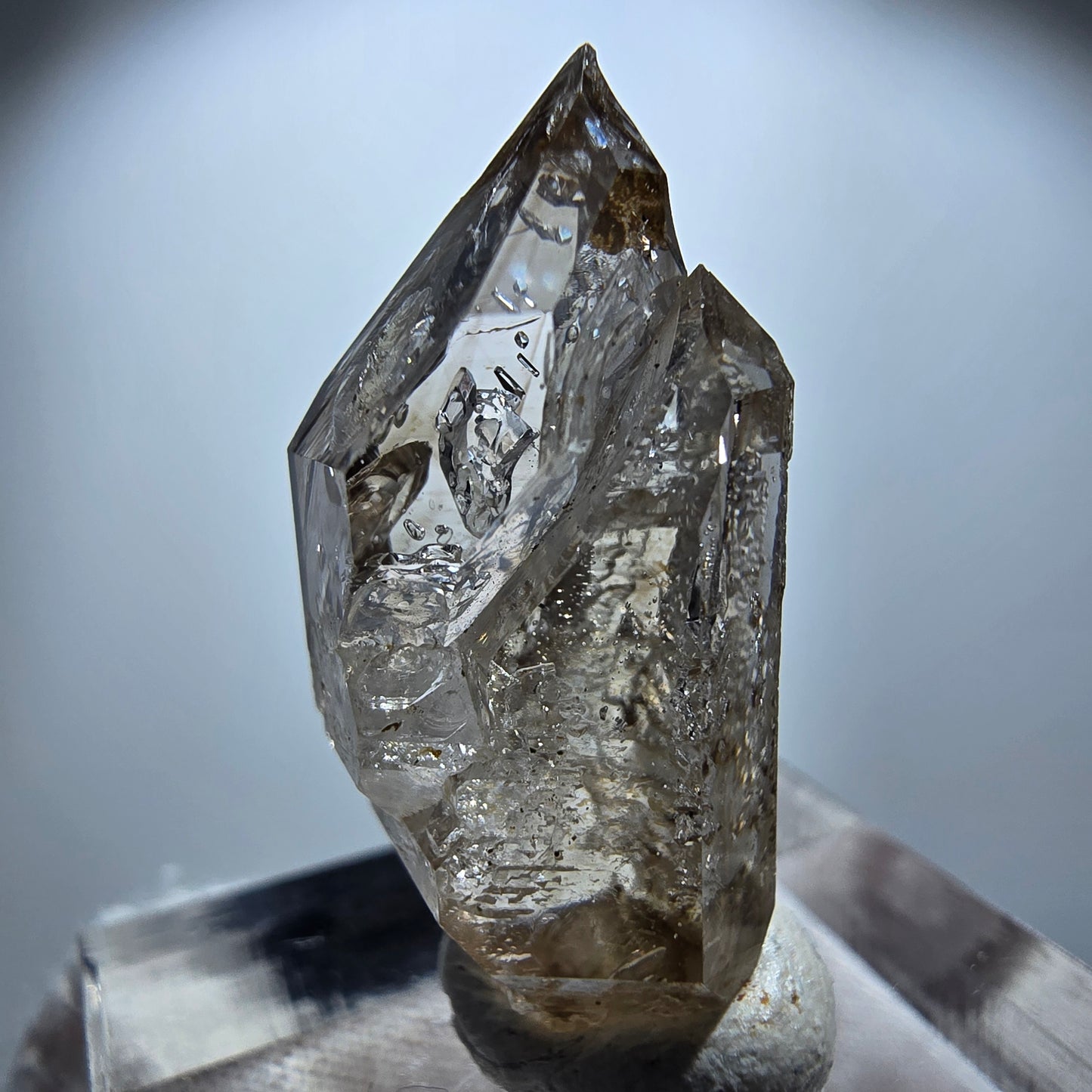 Enhydro Rauchquarz Skelett DT Zepter, 2x Blase Goboboseb, Namibia 26*13*11mm