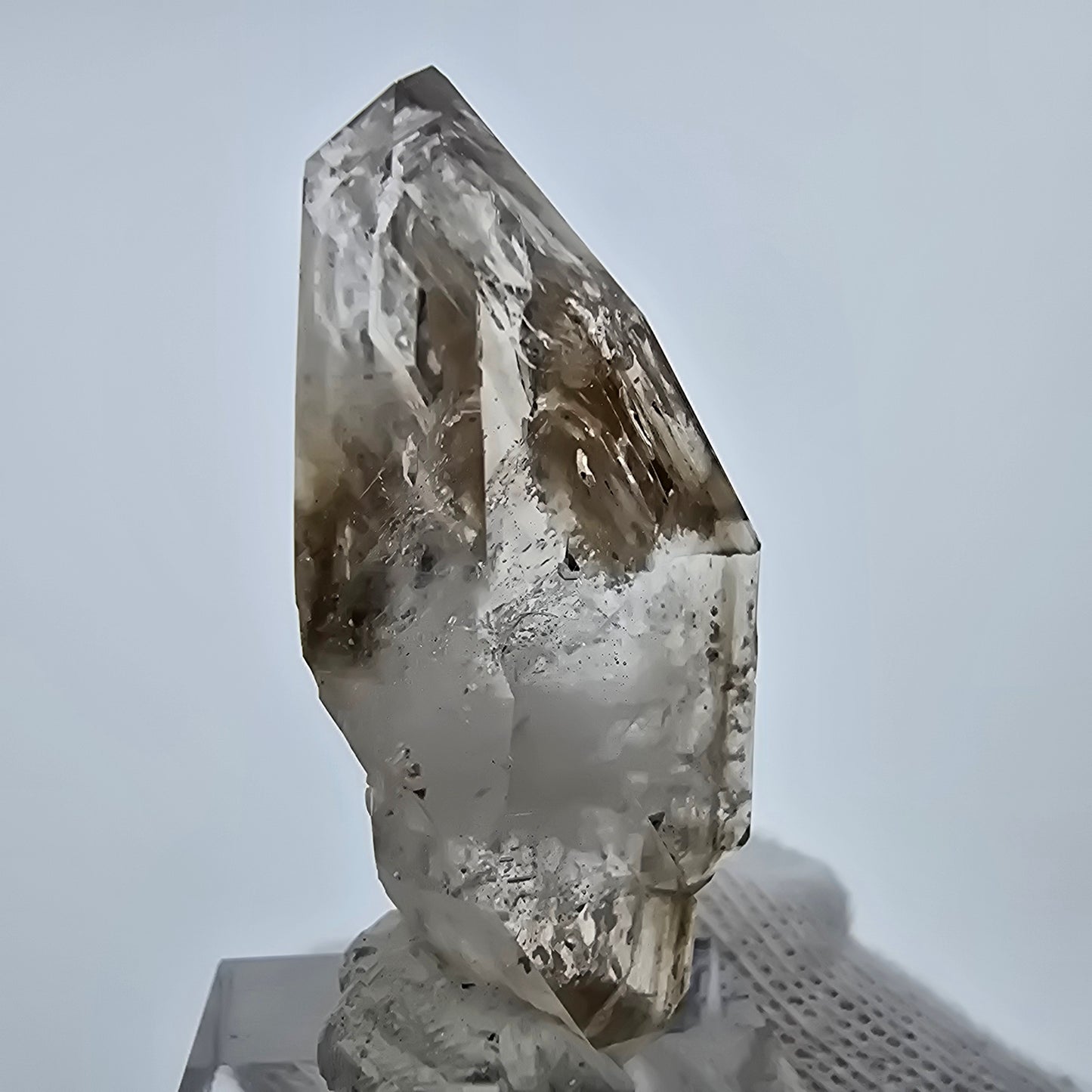 Sceptre Enhydro Phantom Smoky Quartz DT, 2x Bubble Goboboseb, Namibie 47 x 23 x 15 mm