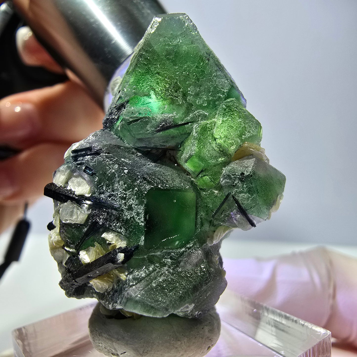 Cube de fluorite fantôme hexagonal, muscovite, tourmaline Schörl Erongo, Namibie 39*25*21mm