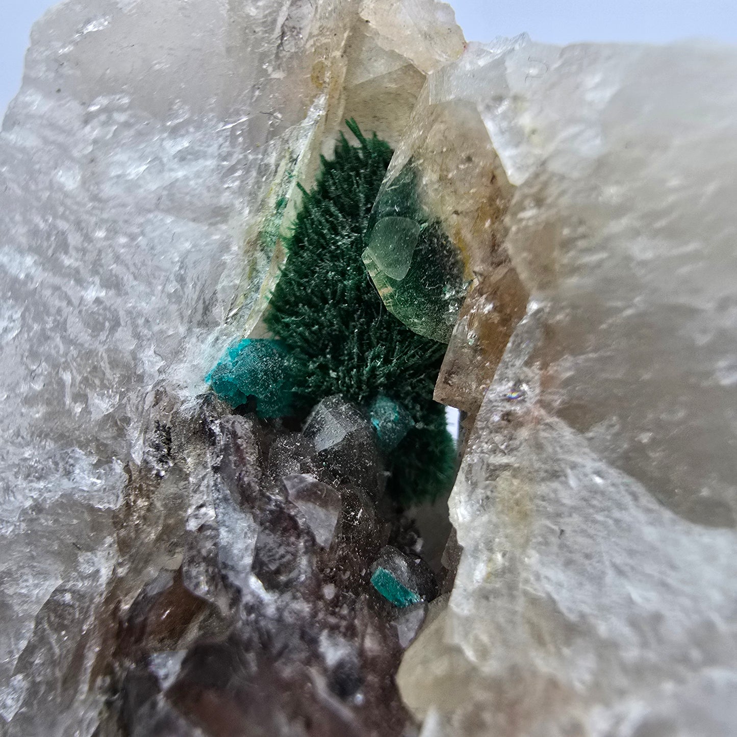 Seltene Malachit, Dioptas auf Quarz Stufe Kaokoveld, Namibia 70*50*23mm Sammlung