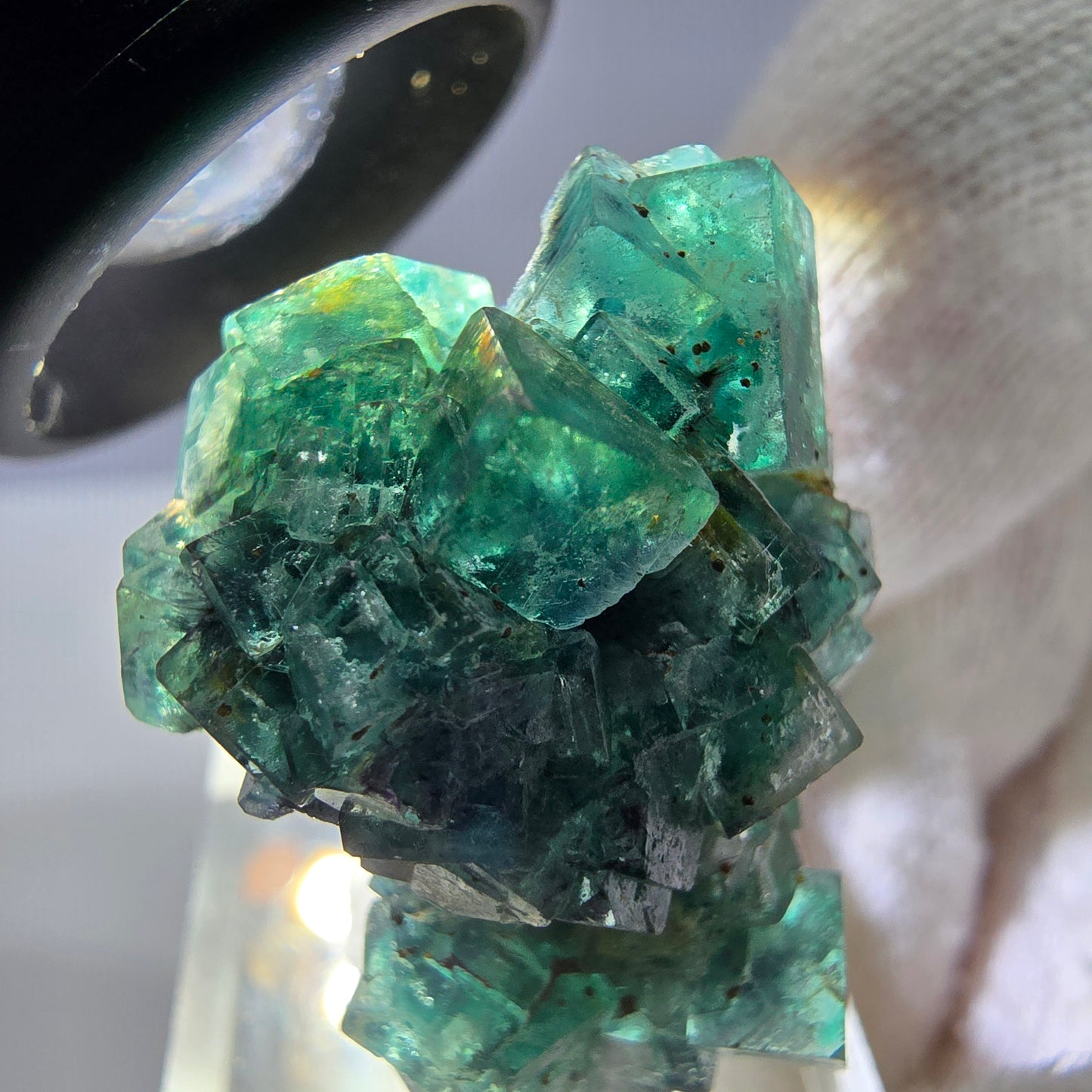 Cube de fluorite fantôme, spécimen de tourmaline Schorl, Erongo, Namibie, 34 x 27 x 22 mm