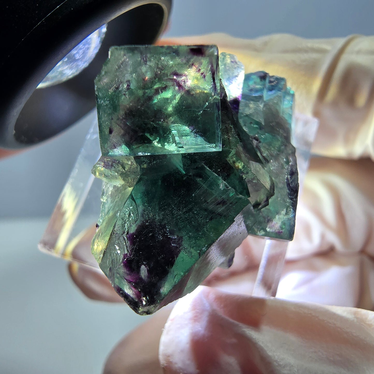 Phantom Fluorit Würfel Stufe, parkettiert grün lila Okorusu, Namibia 31*25*14mm