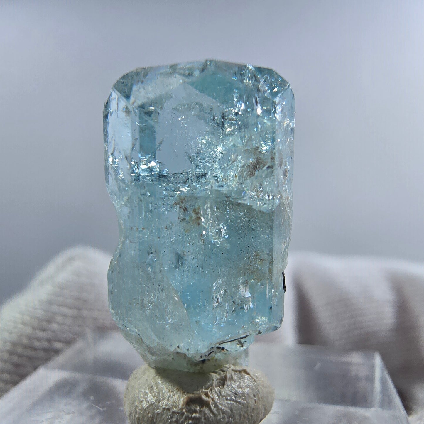 Aigue-marine Setlene, spécimen de tourmaline Schorl, Erongo, Namibie, 23 x 11 x 9 mm