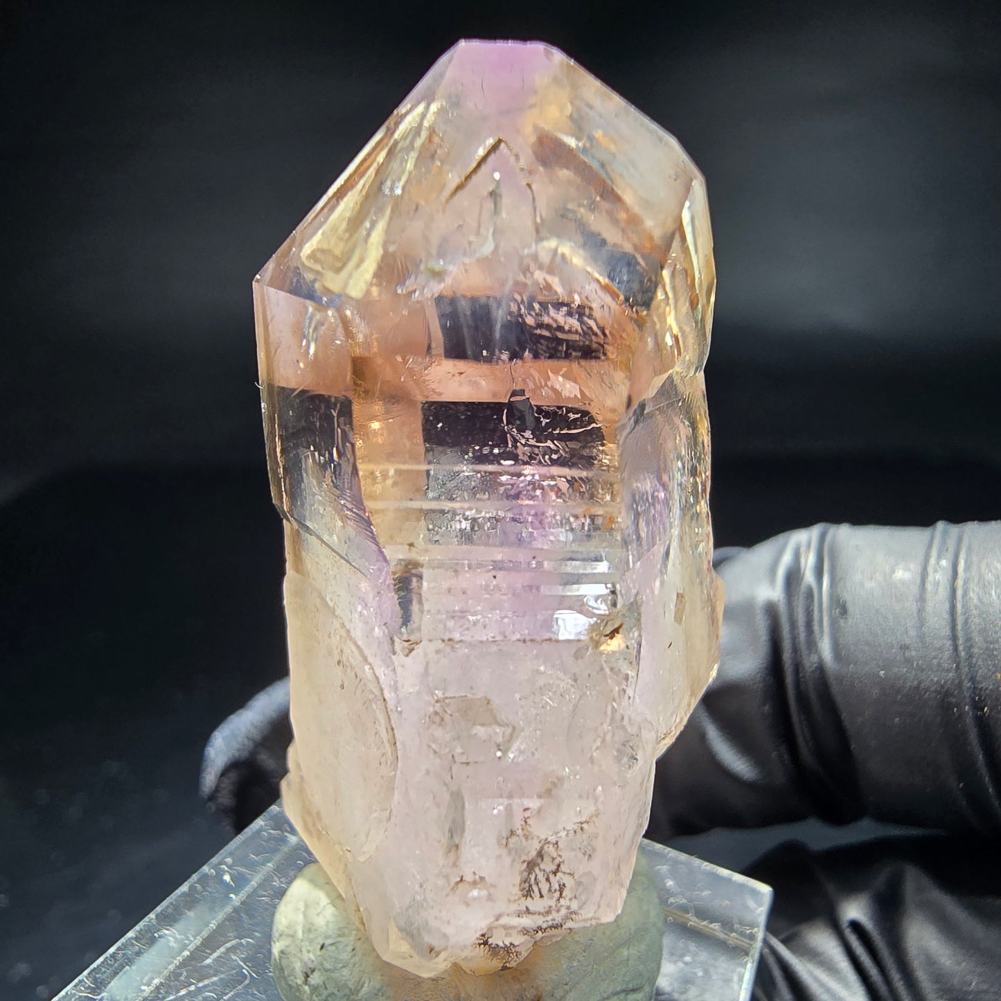 Klare Phantom Amethyst Fenster Zepter Spitze Goboboseb Namibia 40*29*20mm