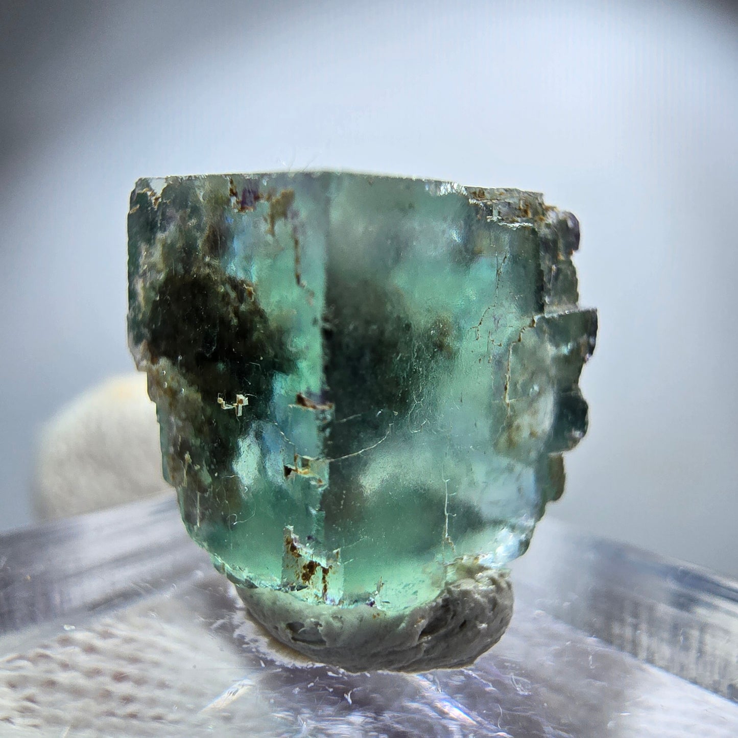 Rare spécimen de cube de fluorite fantôme, vert Okorusu, Namibie 18 x 17 x 13 mm