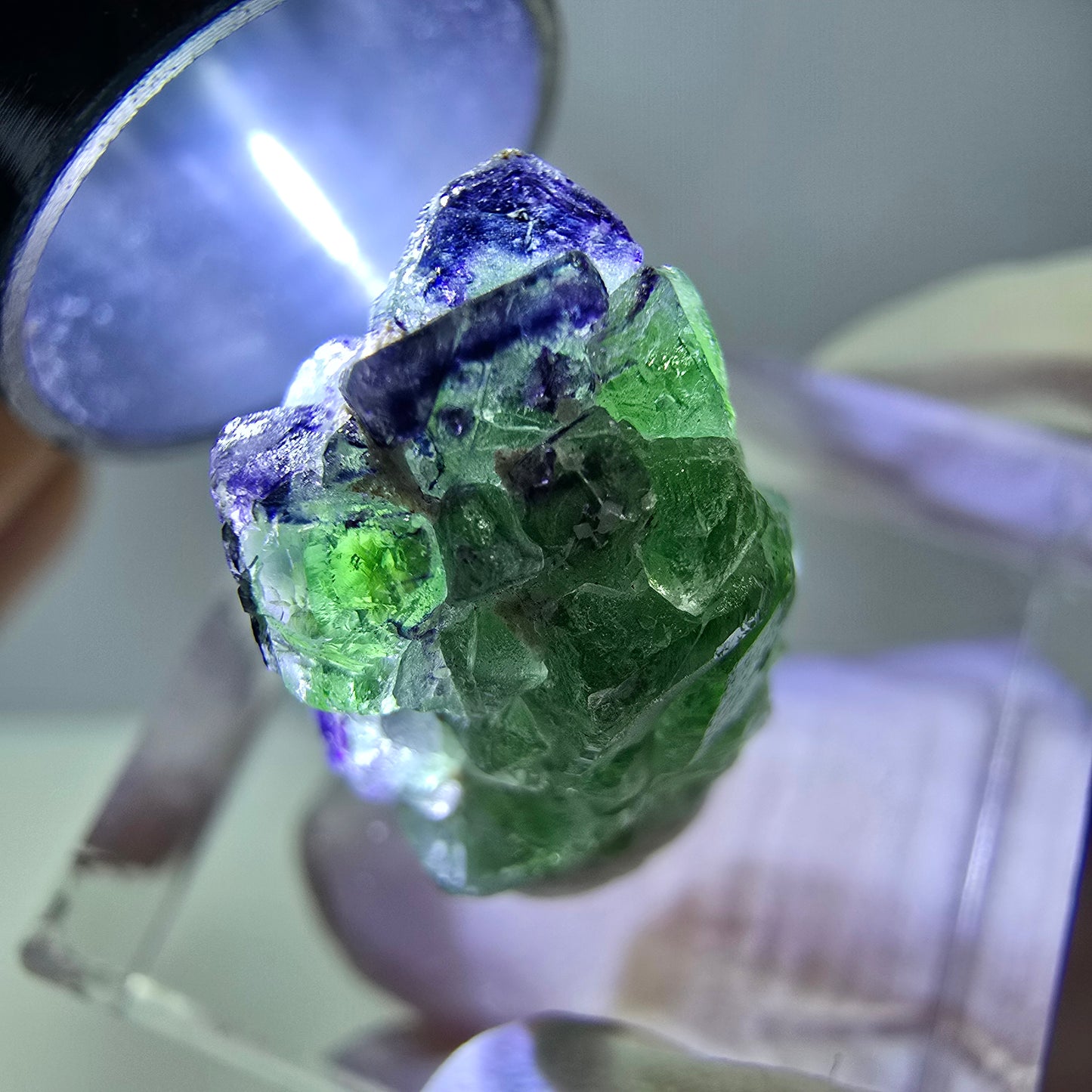 Cube de fluorite fantôme, zonal, spécimen de tourmaline Schorl, Erongo, Namibie, 18 x 12 x 12 mm